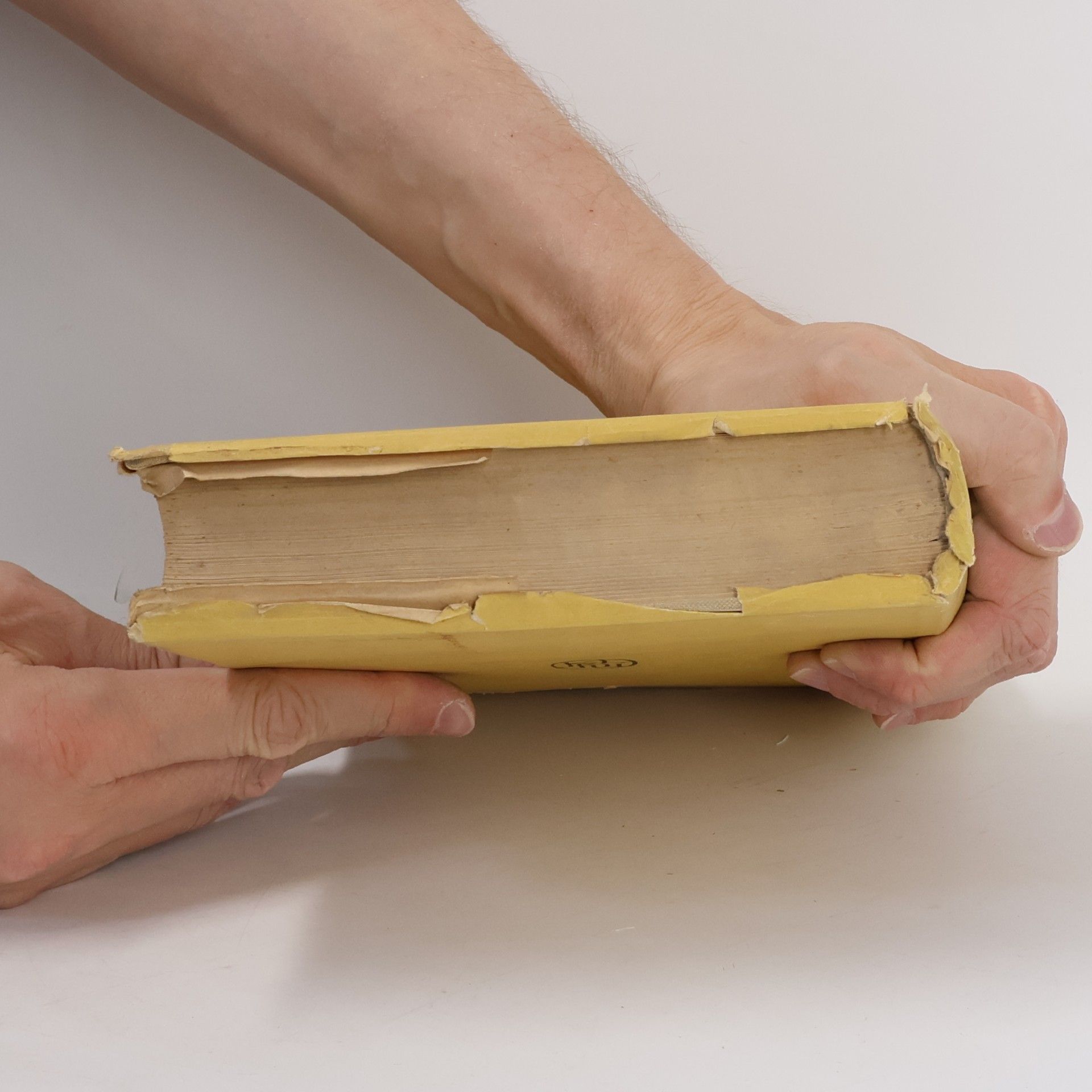 Eliška Krásnohorská Výbor z díla I. Básně a libreta