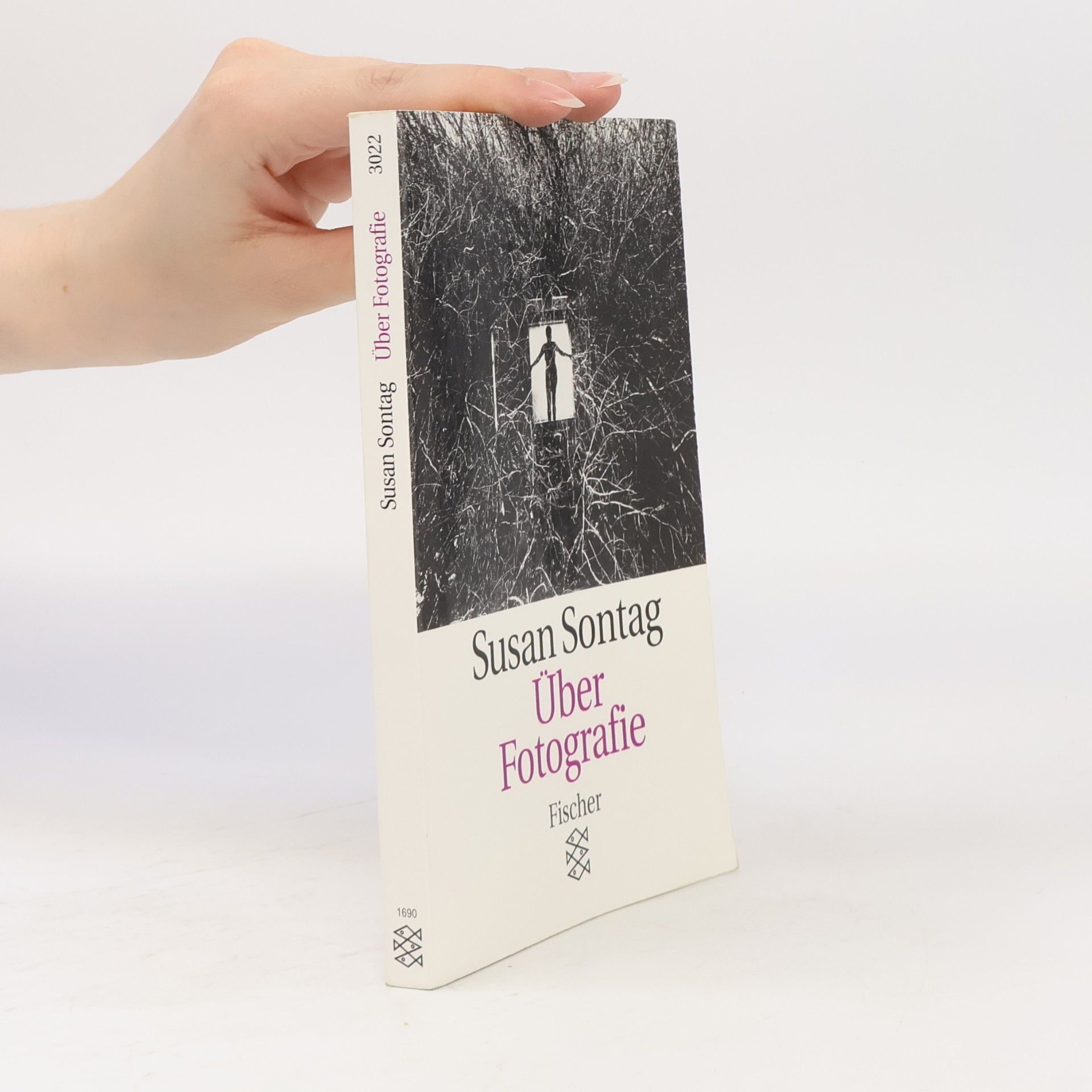 Susan Sontag Über Fotografie