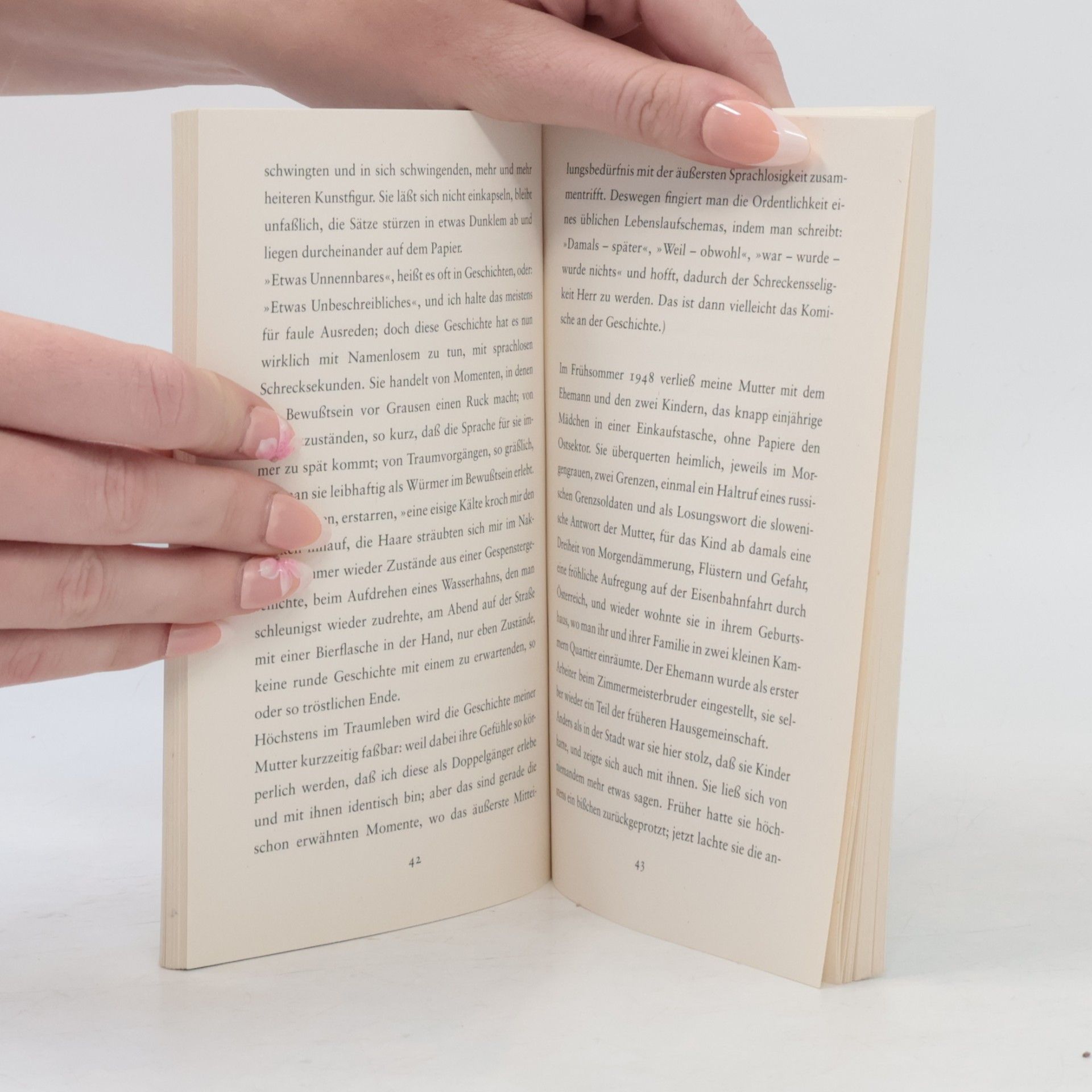 Peter Handke Wunschloses Unglück