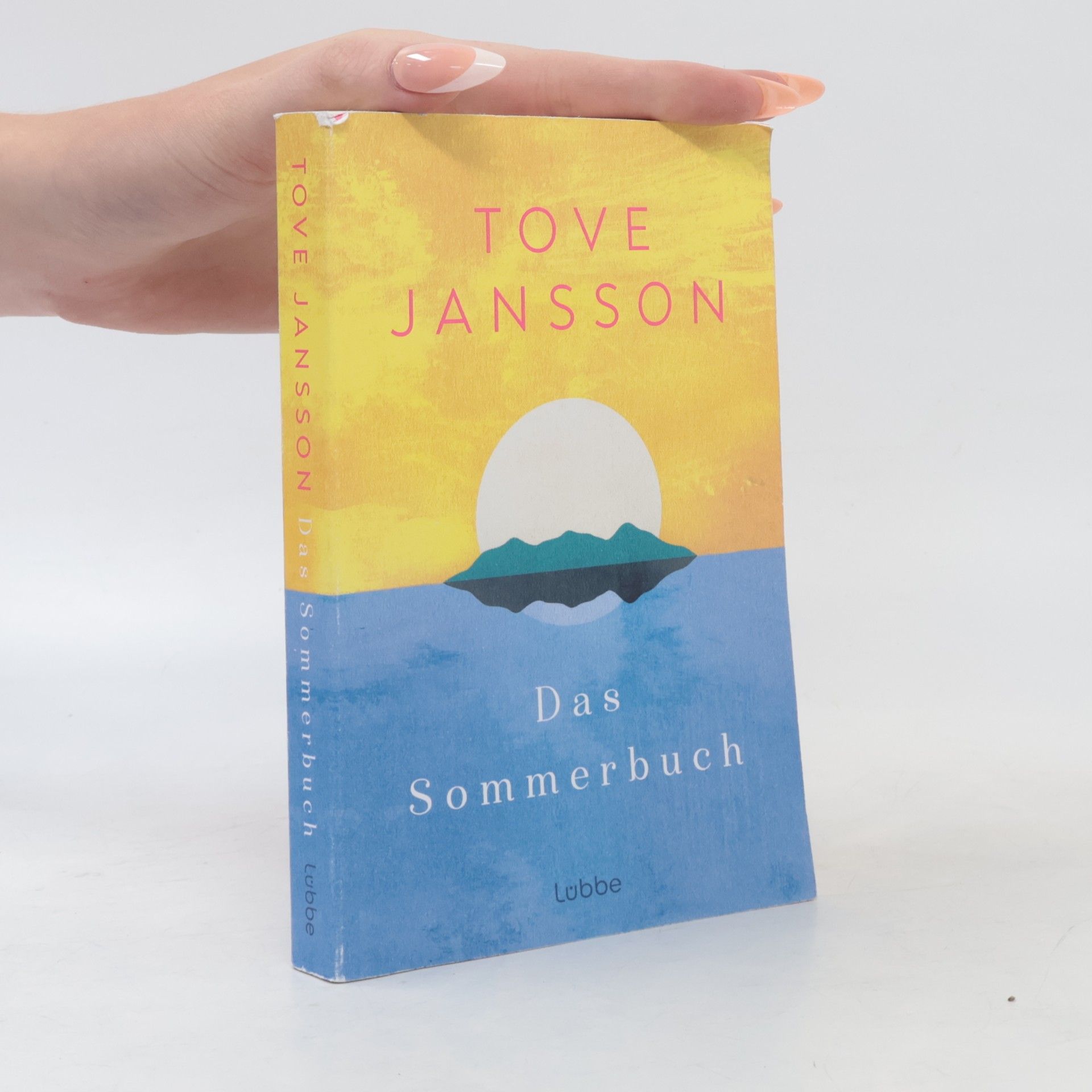 Tove Jansson Das Sommerbuch