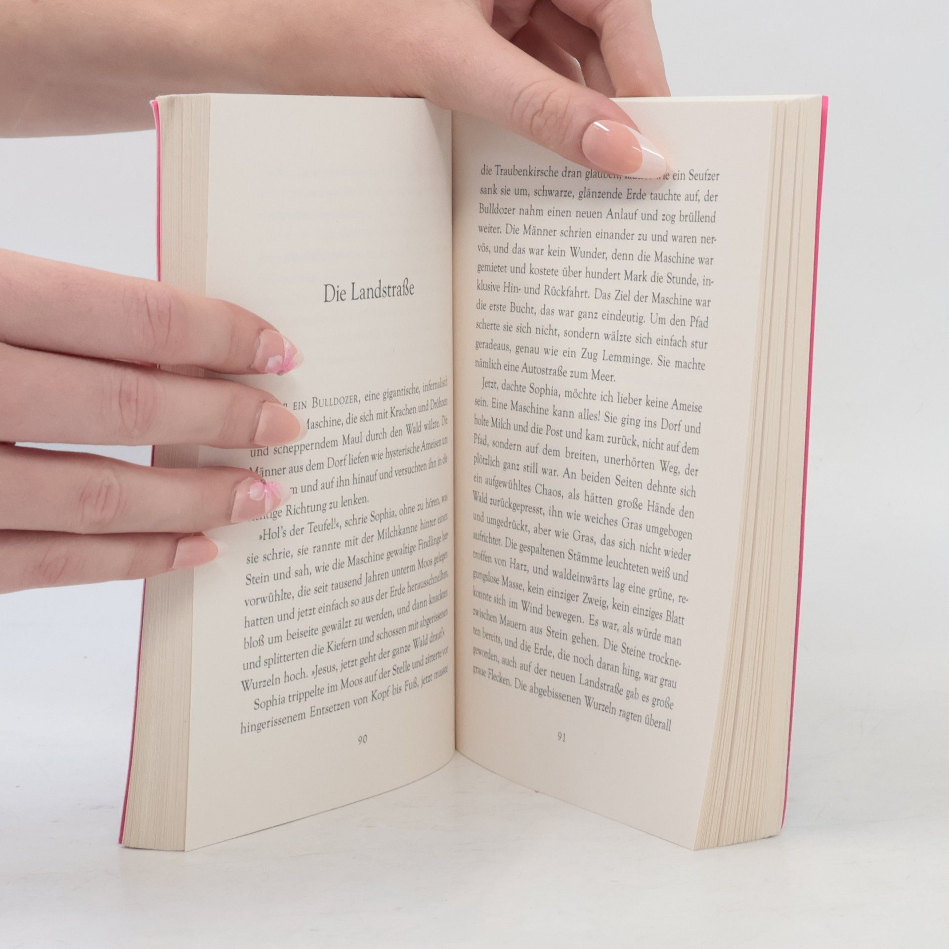 Tove Jansson Das Sommerbuch