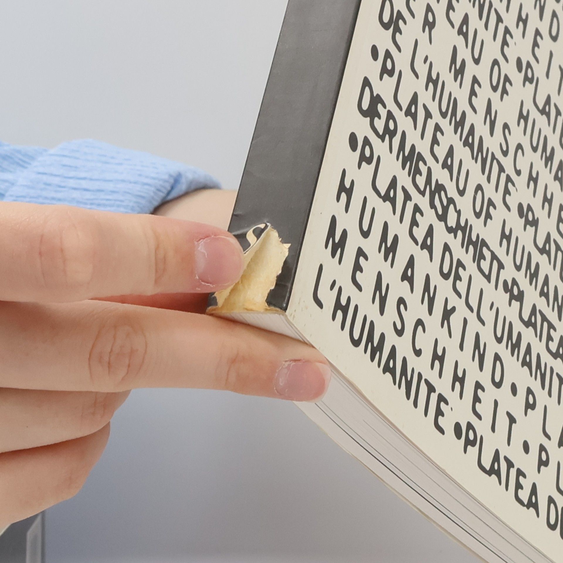 Harald Szeemann 49. Esposizione Internazionale d'Arte