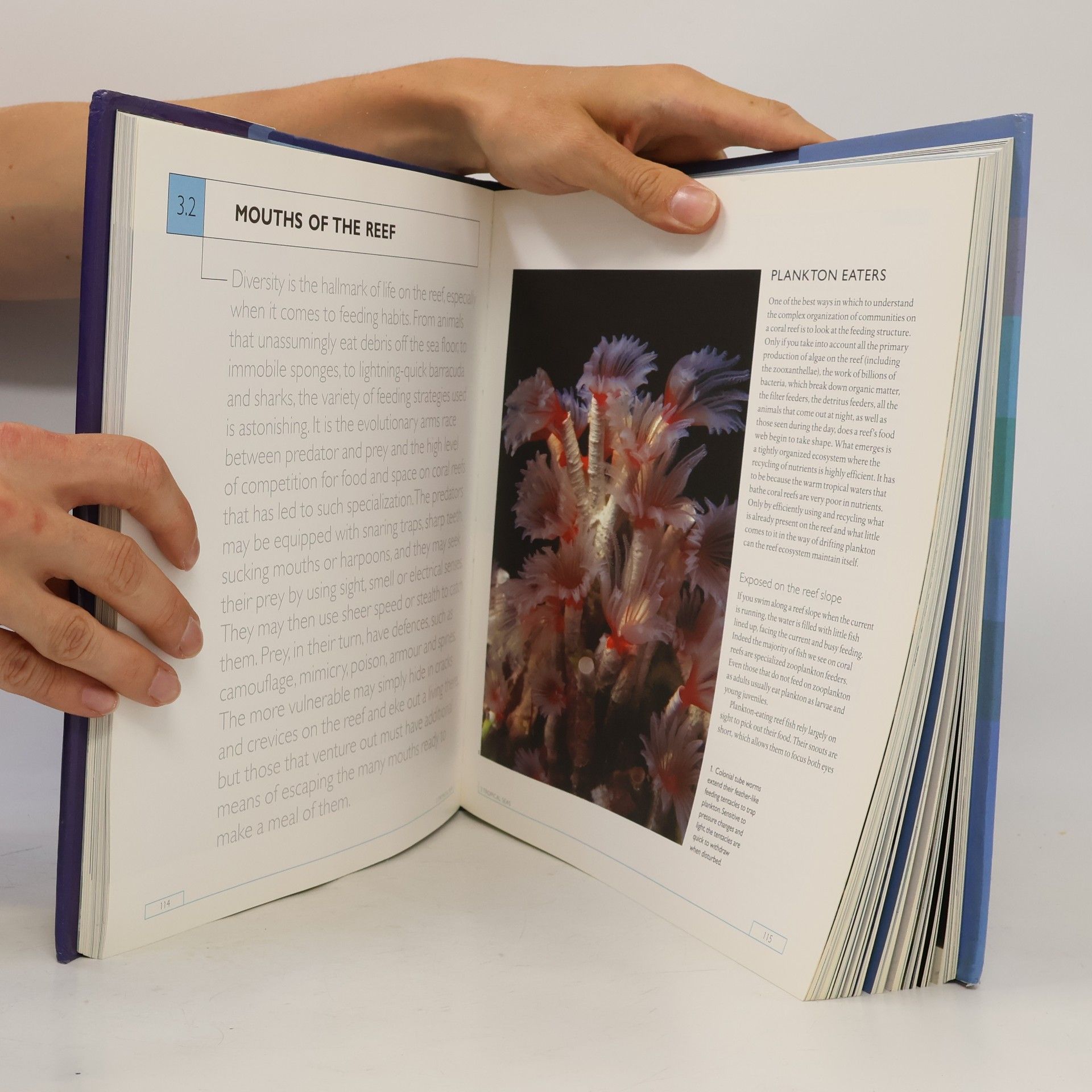 Autorenkollektiv The Blue Planet: A Natural History of the Oceans