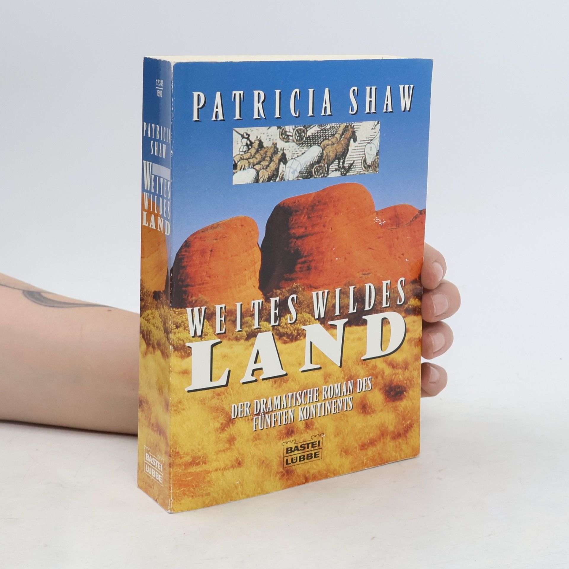 Patricia Shaw Weites wildes Land