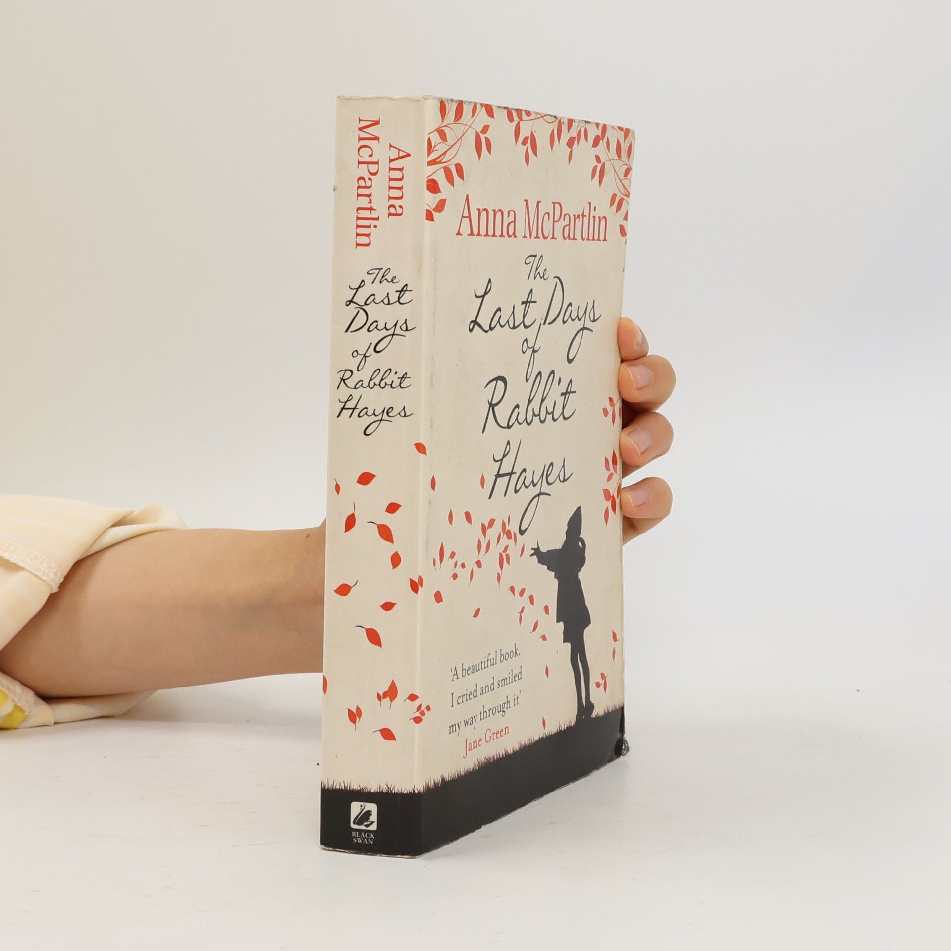 Anna Mc Partlin The Last Days of Rabbit Hayes