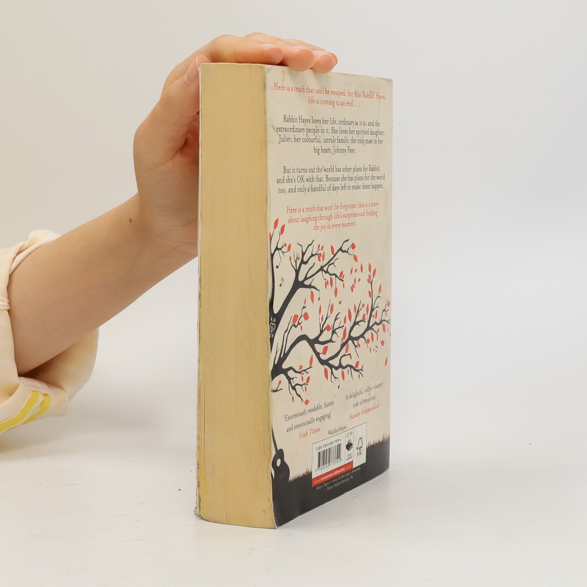 Anna Mc Partlin The Last Days of Rabbit Hayes