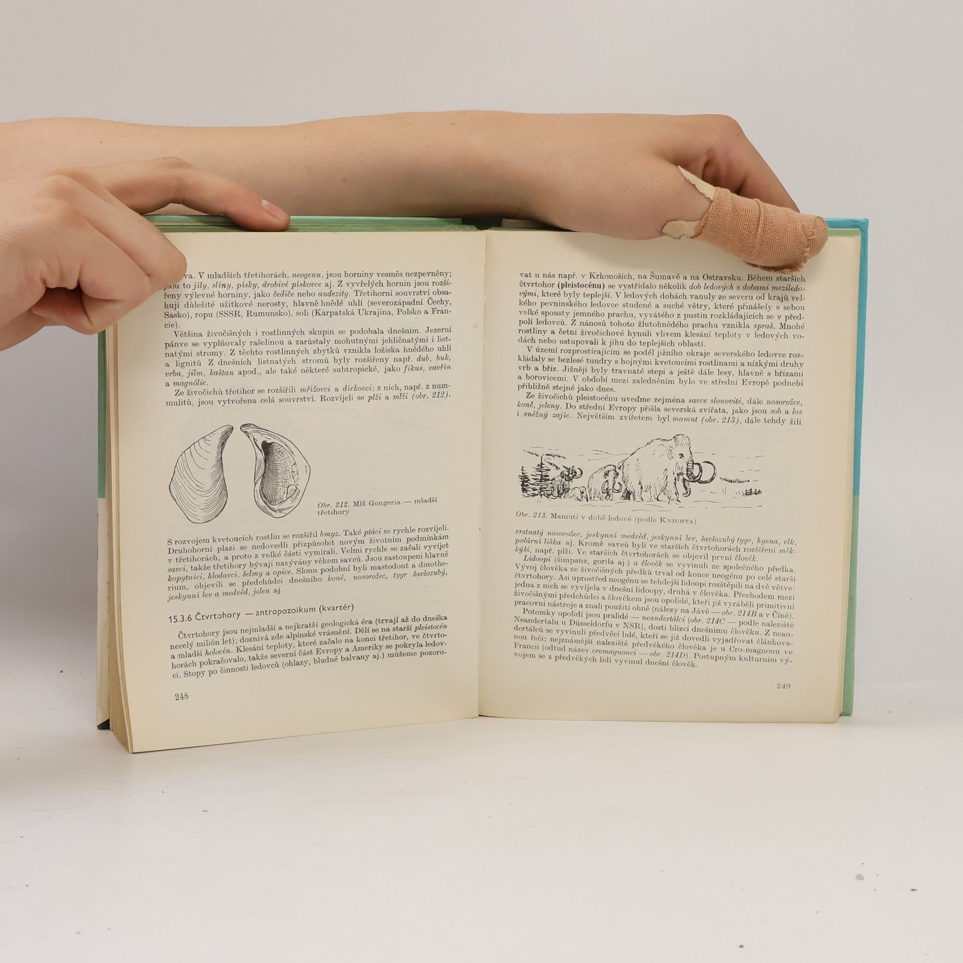 Various authors Mineralogie, petrografie a geologie