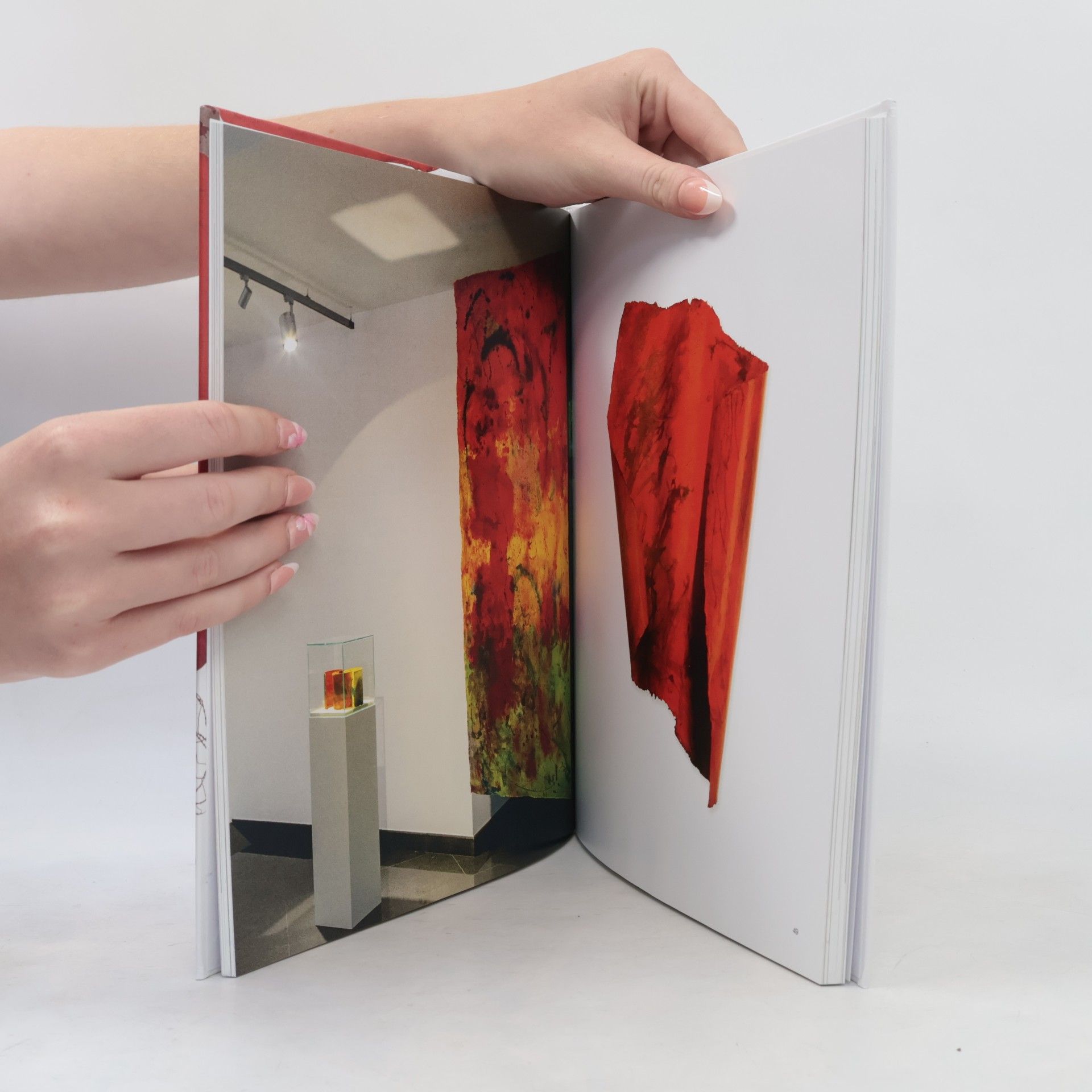 Beate Winkler The Art of Possibility - The Possibility of Art