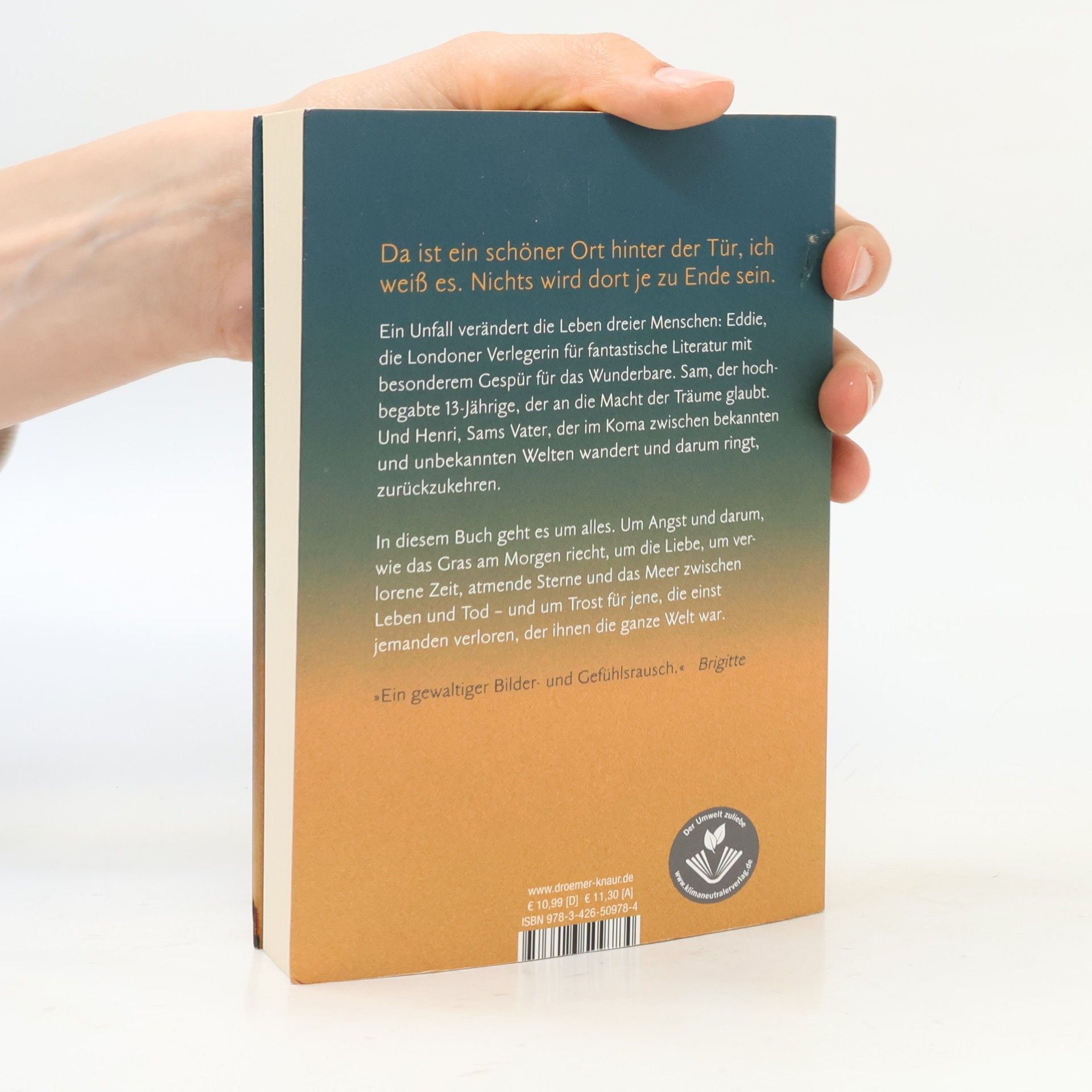Nina George Das Traumbuch