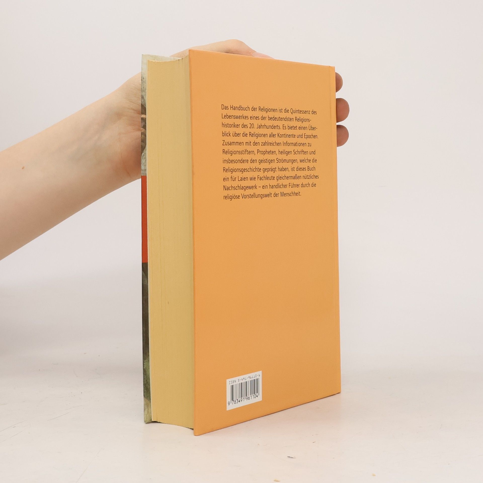 Mircea Eliade Handbuch der Religionen