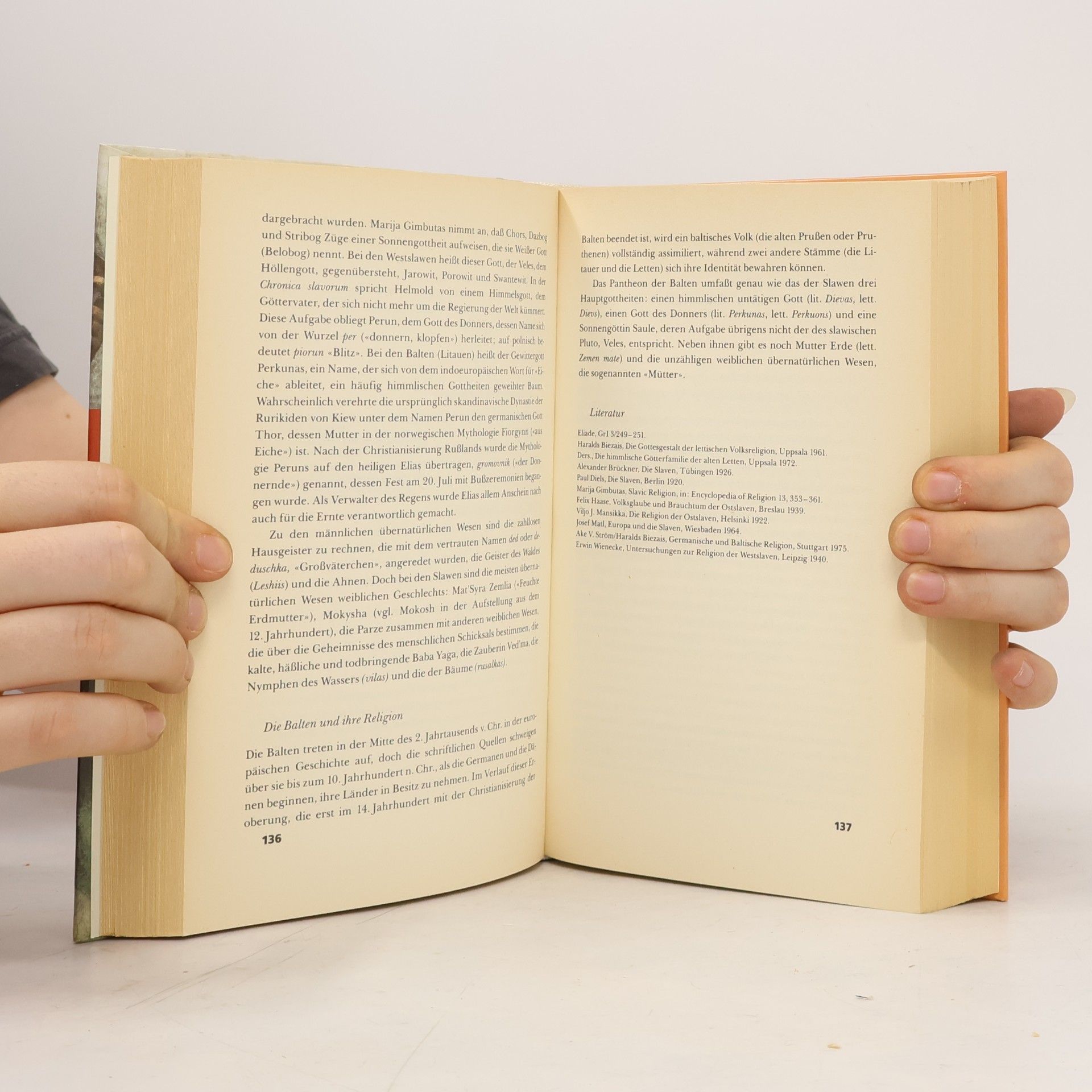 Mircea Eliade Handbuch der Religionen