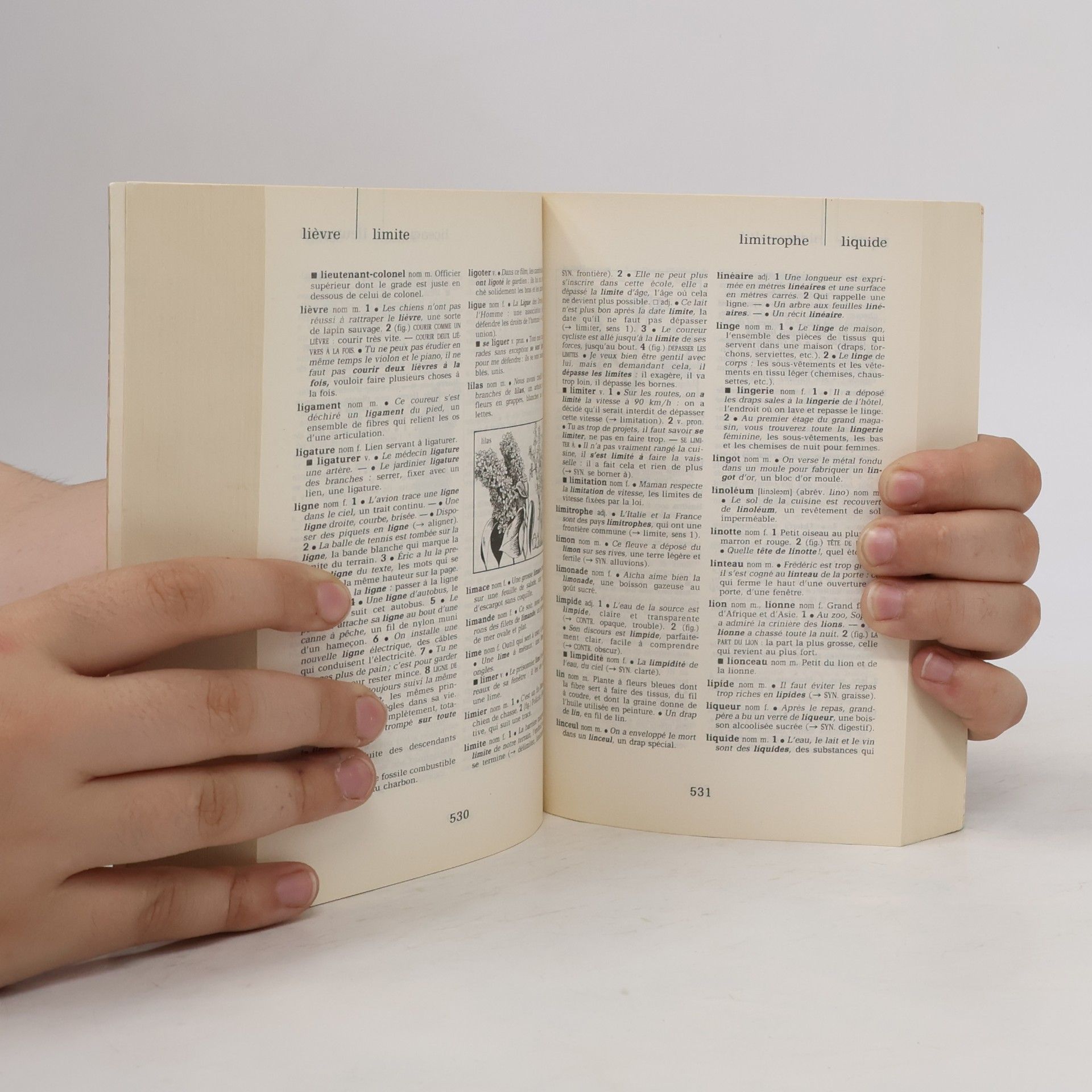 Lars Bonnevie Dictionnaire Hachette Juniors