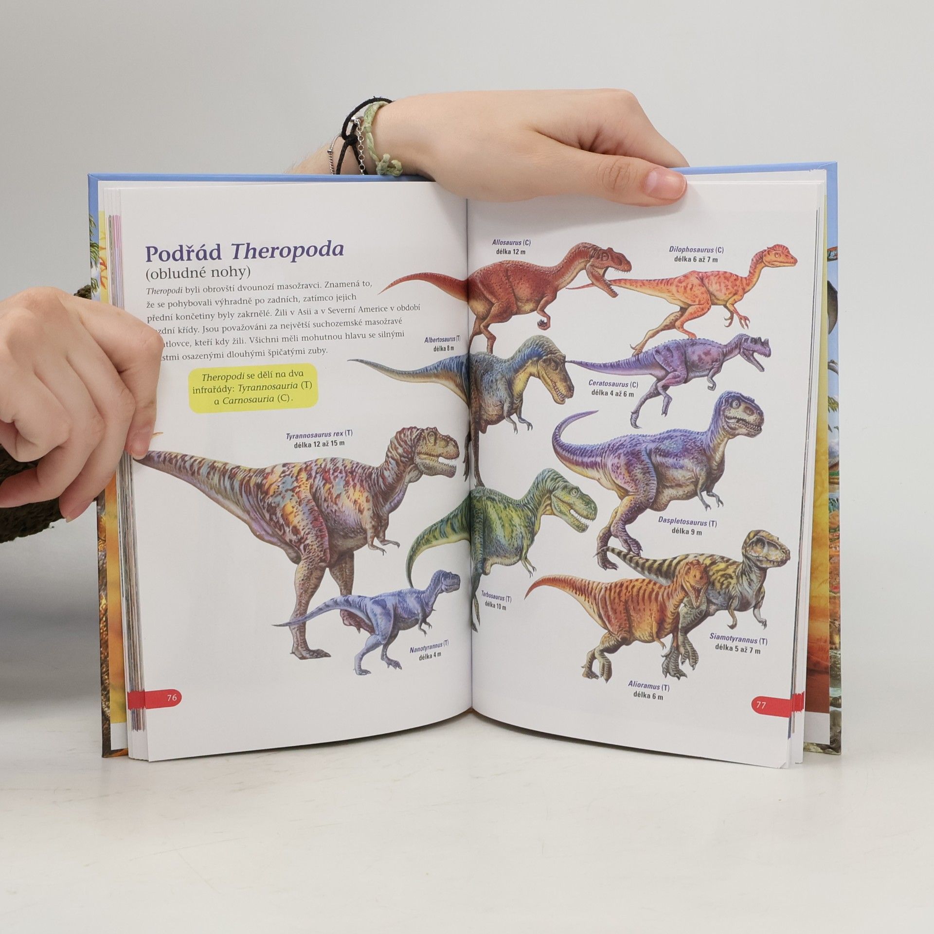 Autorenkollektiv Poznej dinosaury