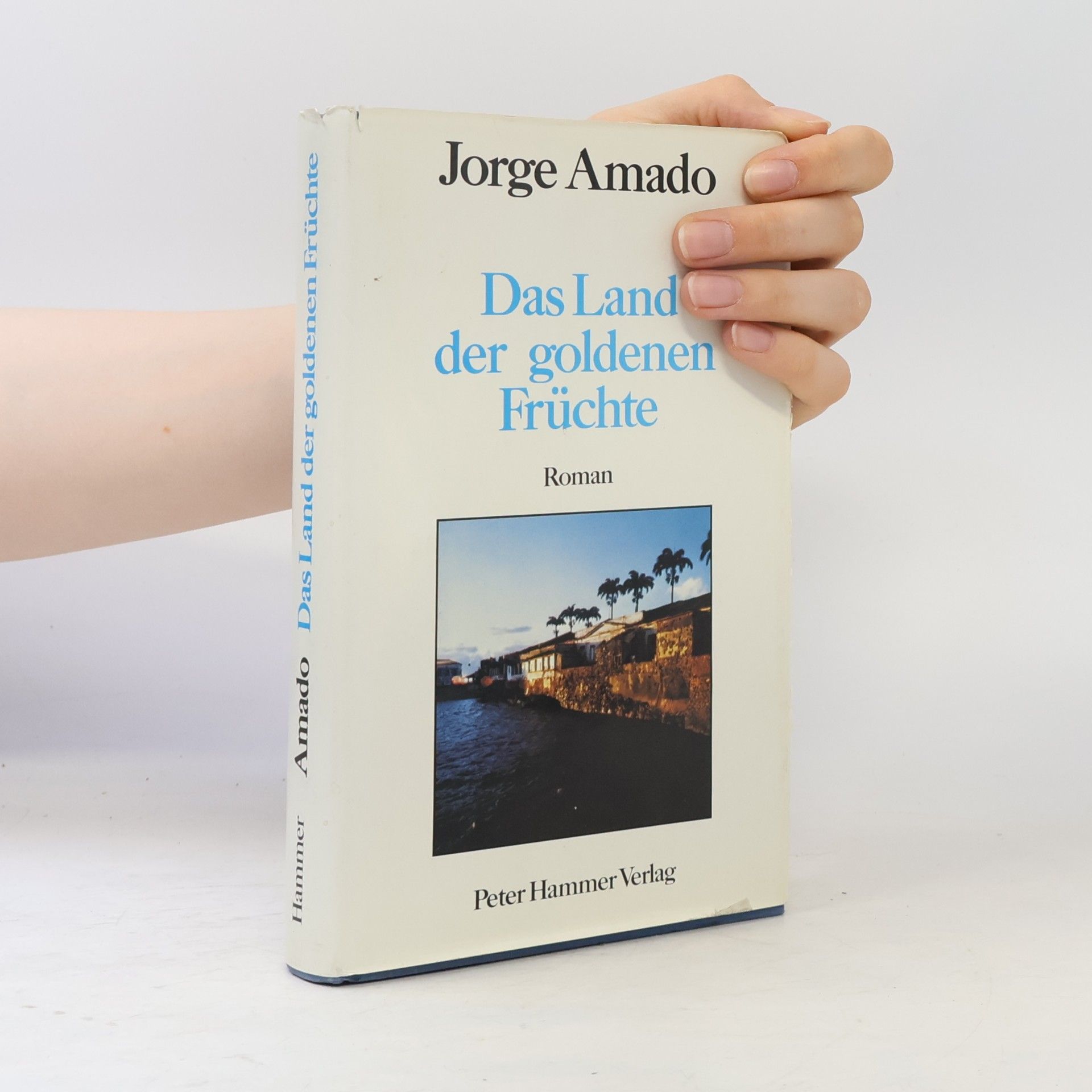 Jorge Amado Das Land der goldenen Früchte
