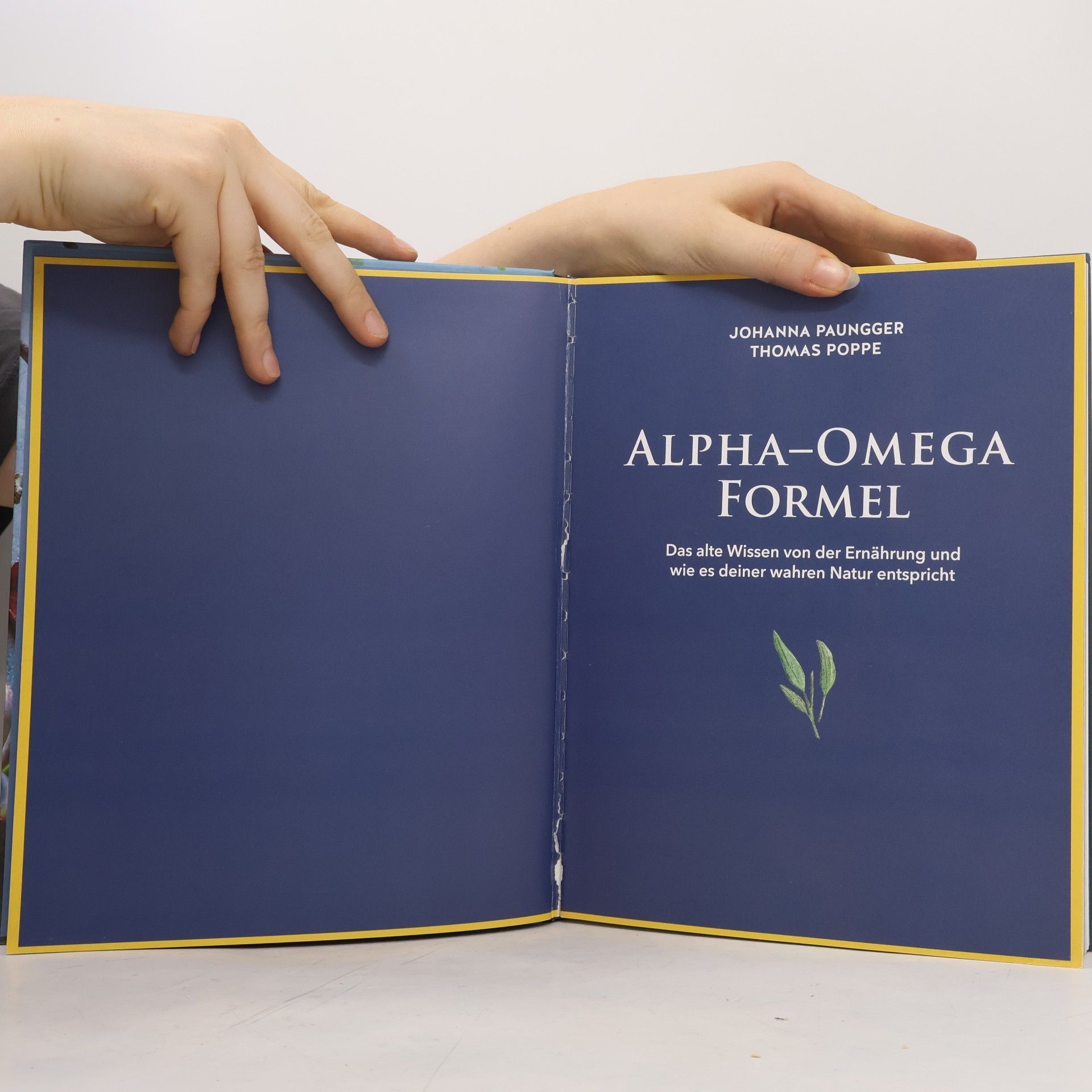 Johanna Paungger Die Alpha-Omega-Formel