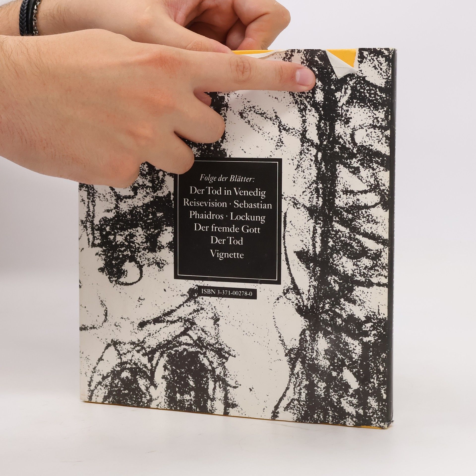Thomas Mann Der Tod in Venedig