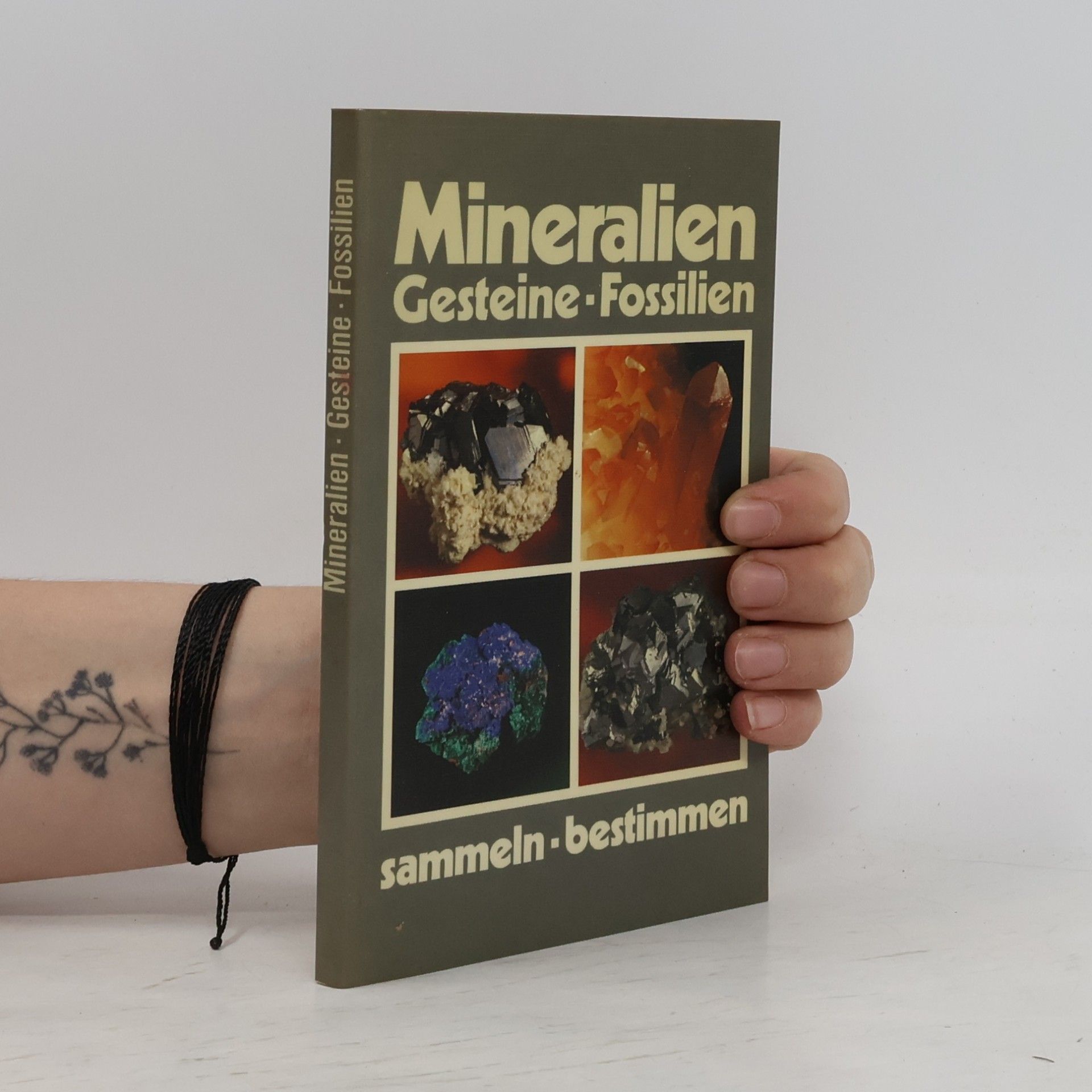 Autorenkollektiv Mineralien. Gesteine. Fossilien