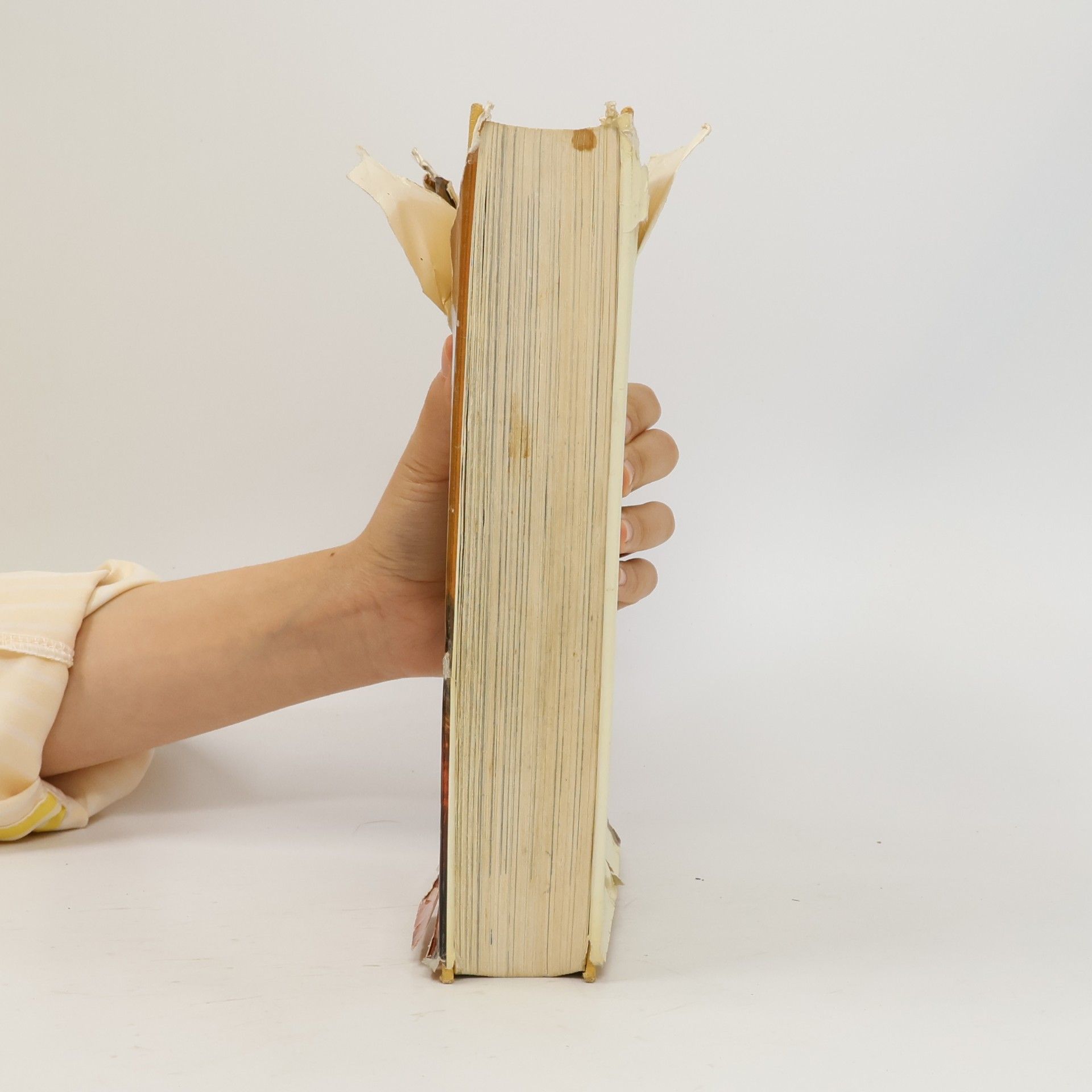 Barbara Lüdecke Von 12 bis 16. Das große Buch für junge Mädchen