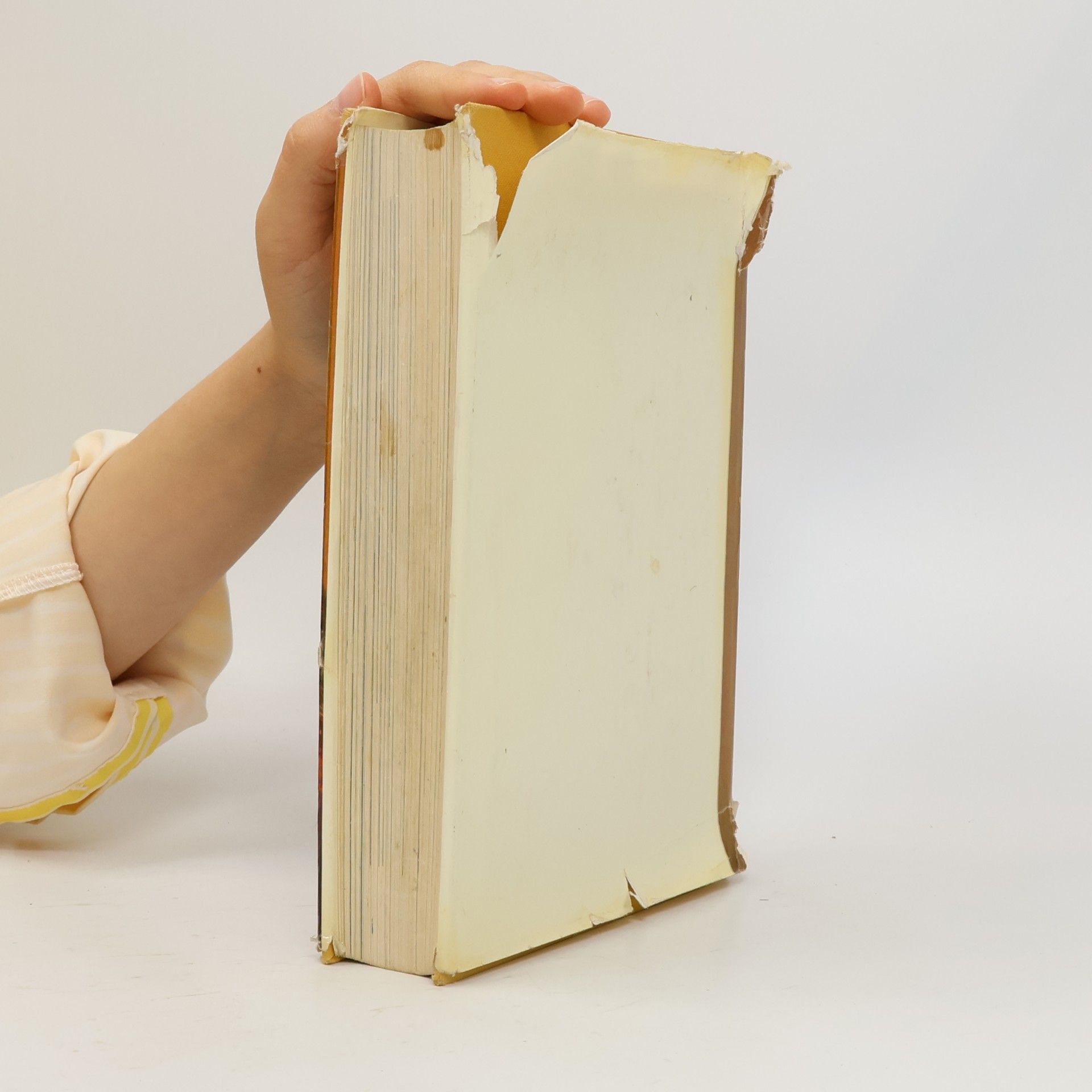 Barbara Lüdecke Von 12 bis 16. Das große Buch für junge Mädchen
