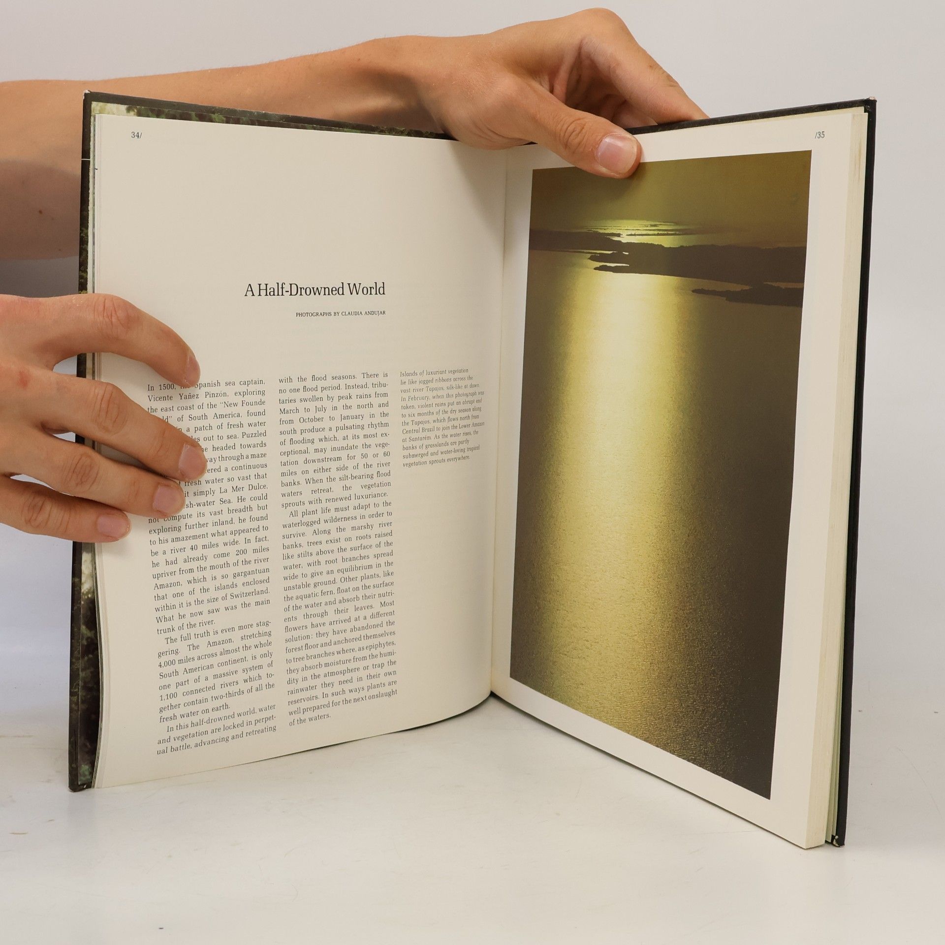 Collectif d'auteurs The Amazon