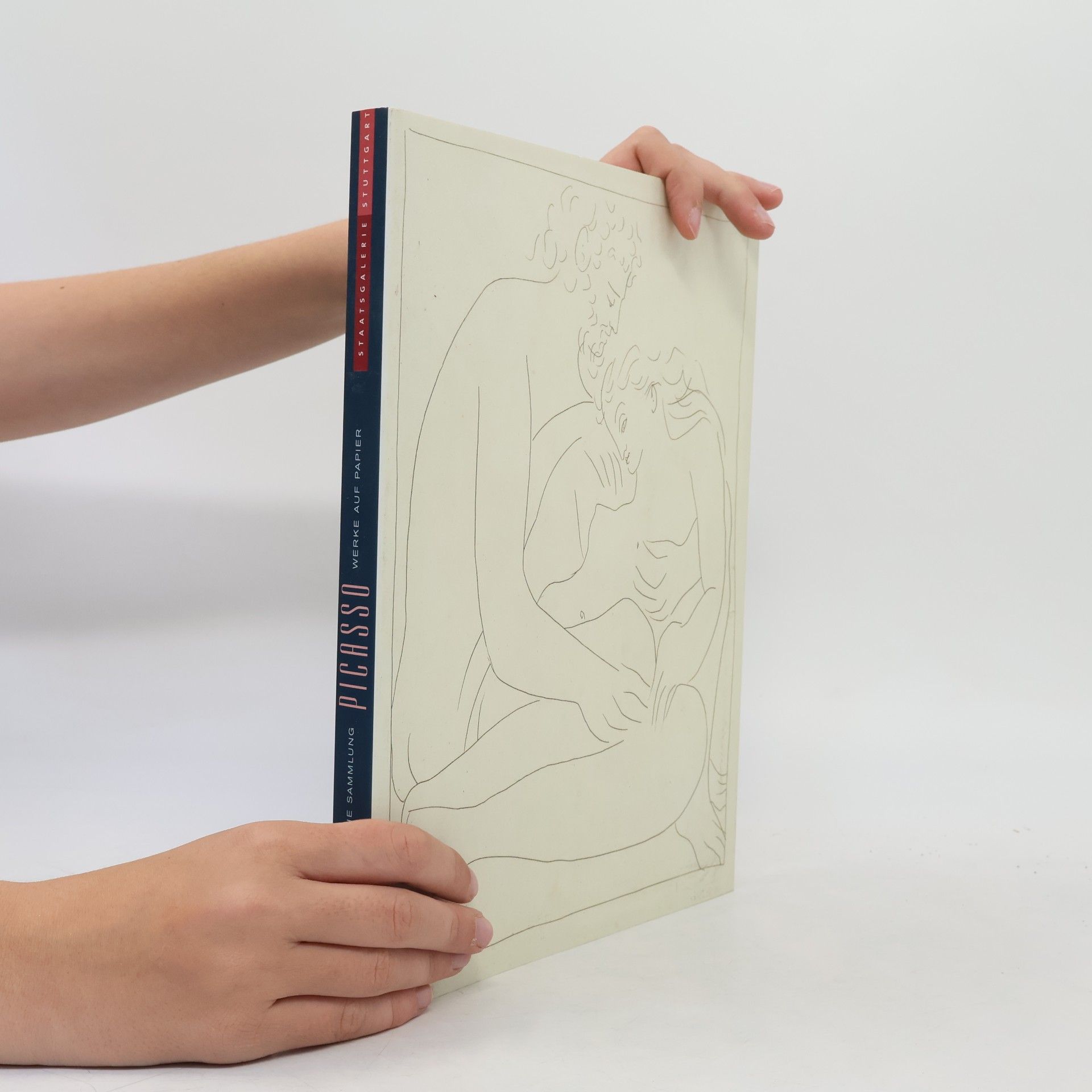 Autorenkollektiv Pablo Picasso. Werke auf Papier
