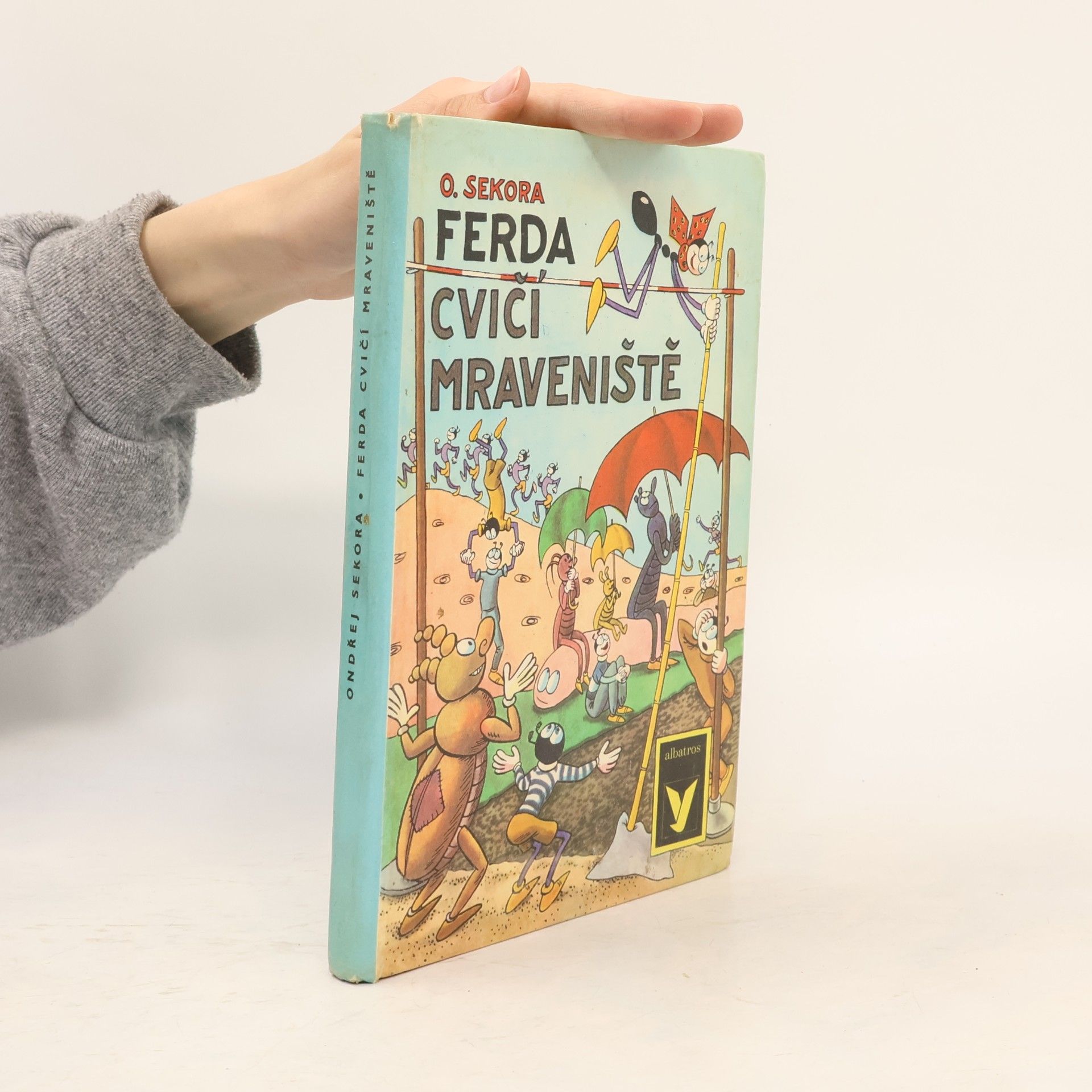 Ferda cvičí mraveniště