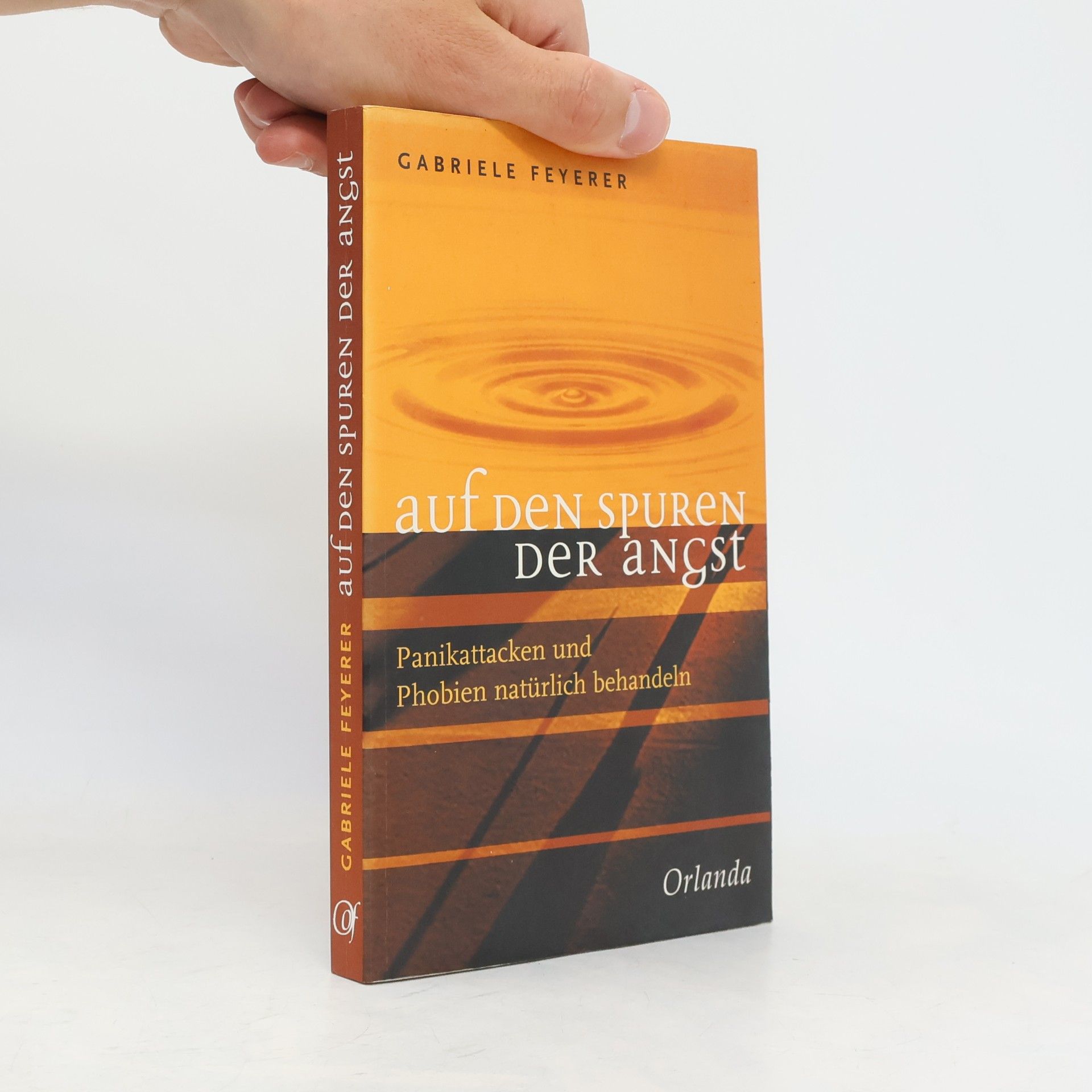 Gabriele Feyerer Auf den Spuren der Angst