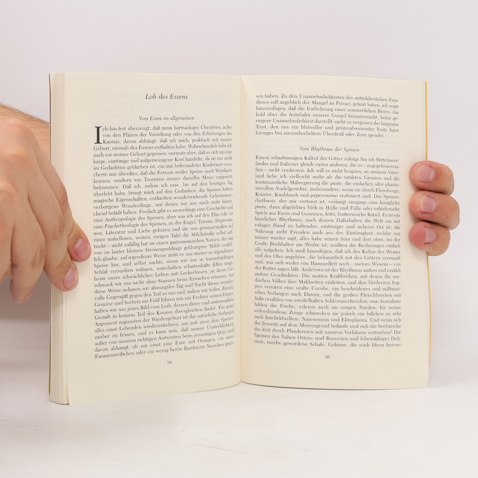 Giorgio Manganelli Lügenbuch
