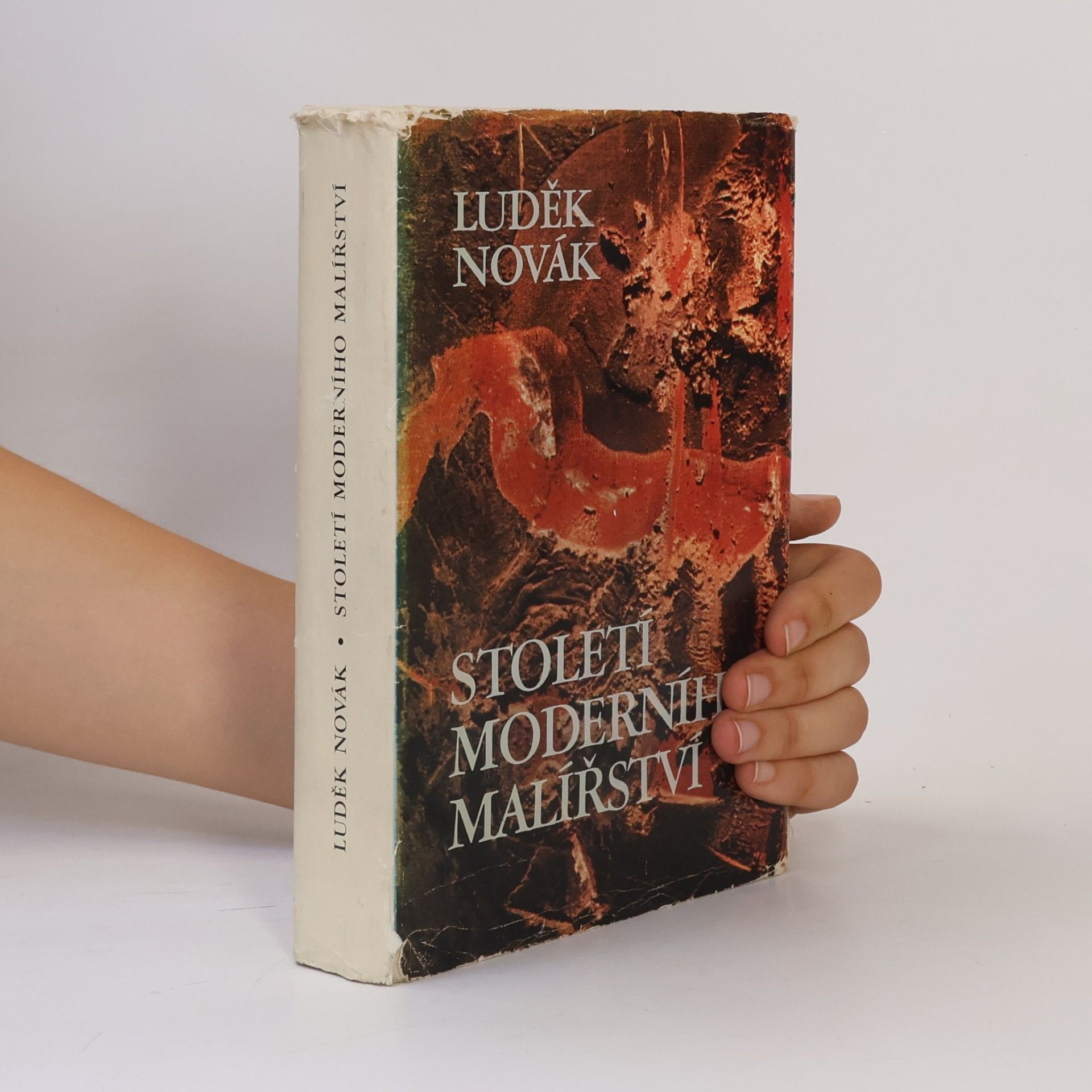 Luděk Novák Století moderního malířství 1865-1965