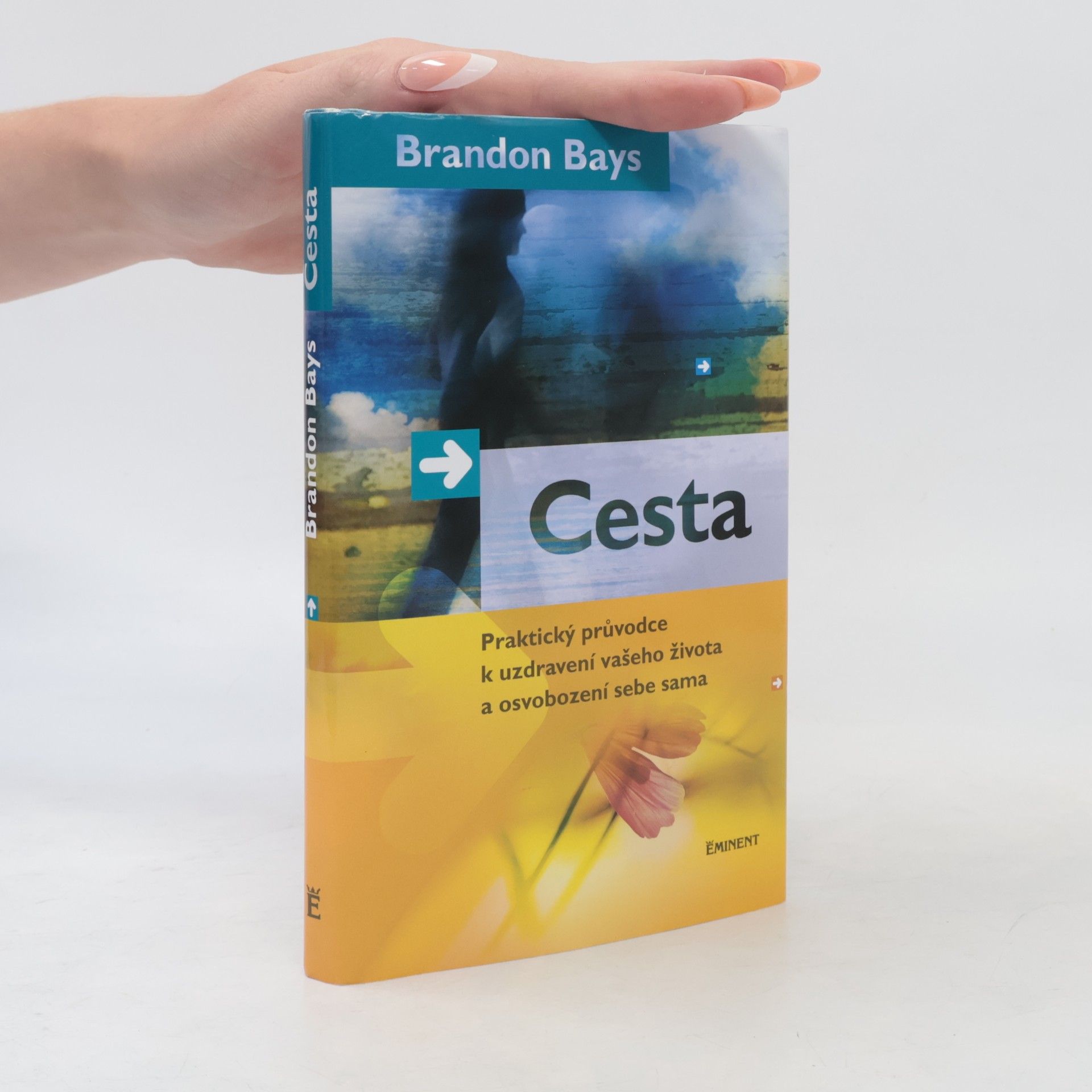 Brandon Bays Cesta