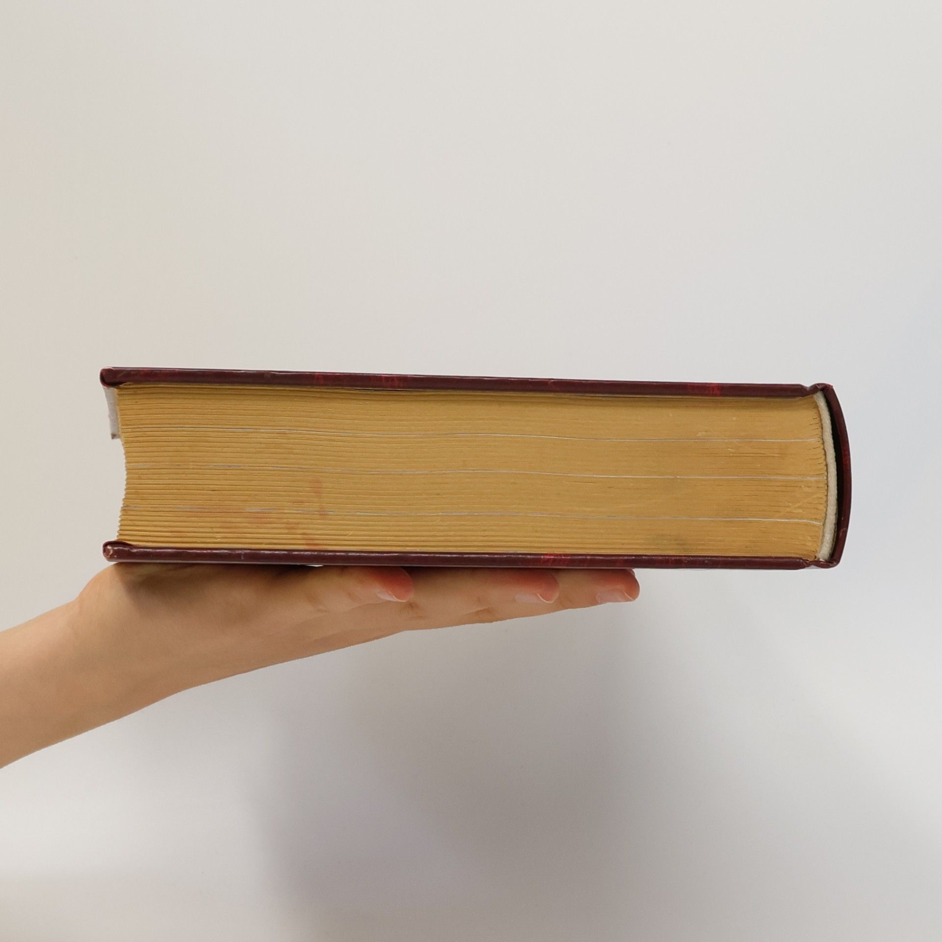 Jana Horecká Velká kniha moučníků