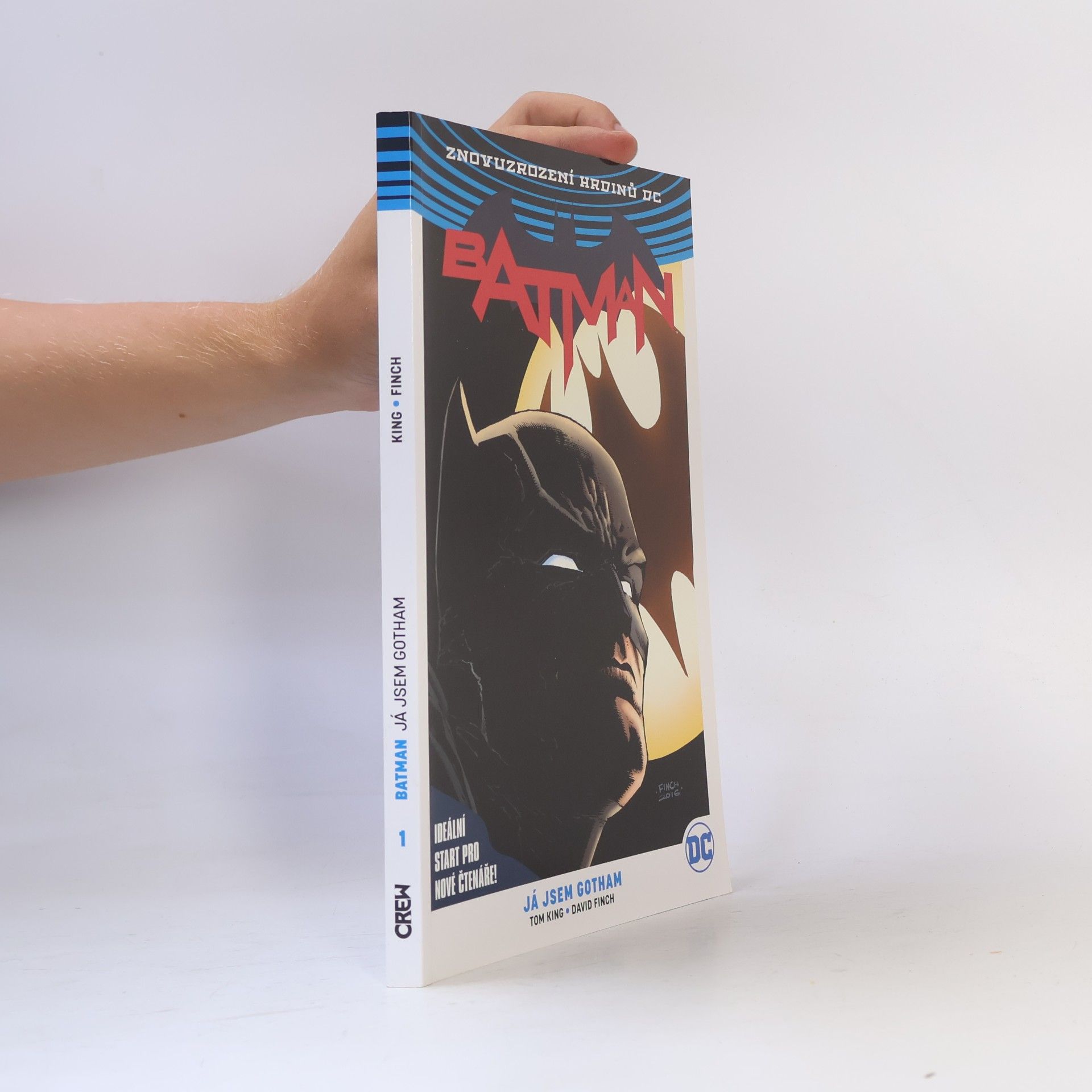 Autores varios Batman. 1. díl, Já jsem Gotham