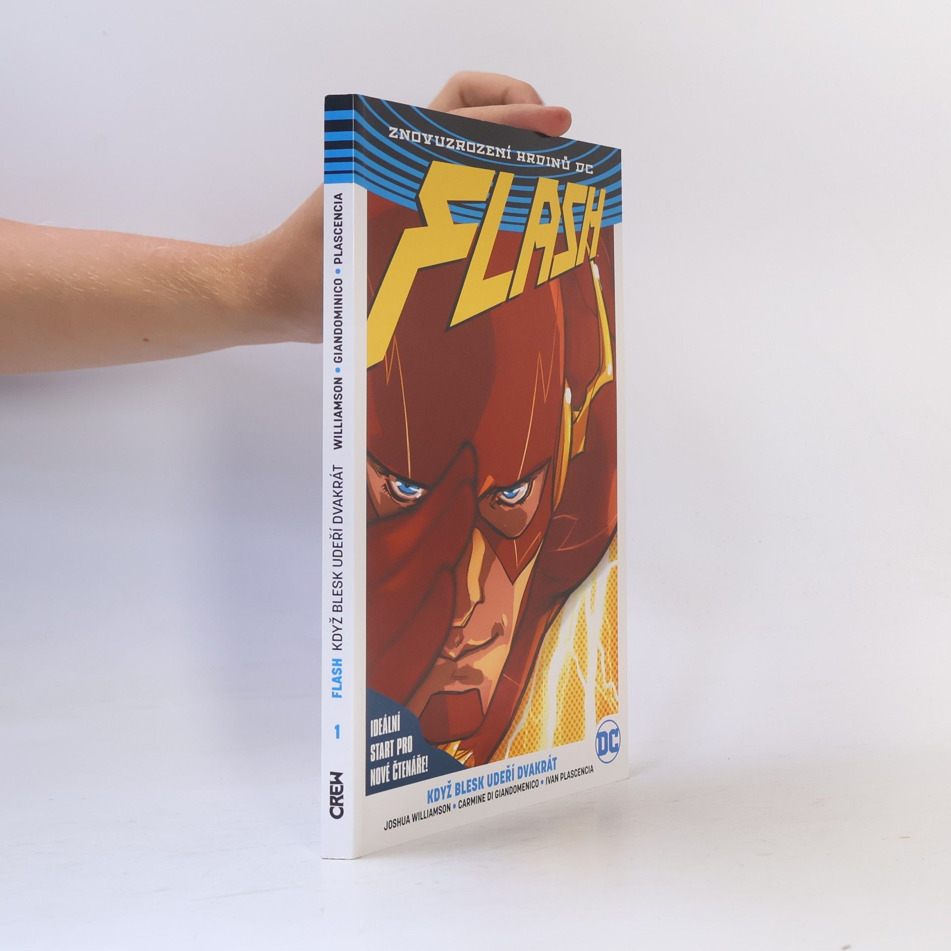 Flash. Kniha první: Když blesk udeří dvakrát