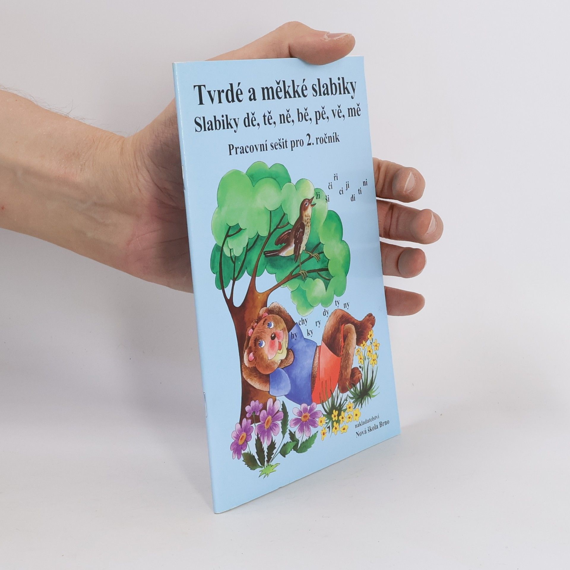 Kolektiv autorů Tvrdé a měkké slabiky