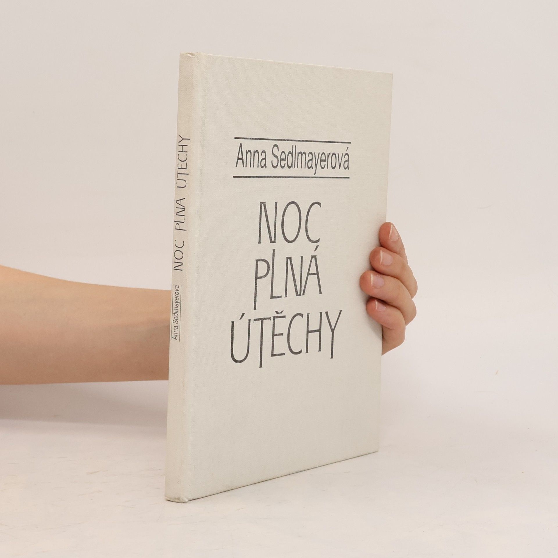 Anna Sedlmayerová Noc plná útěchy