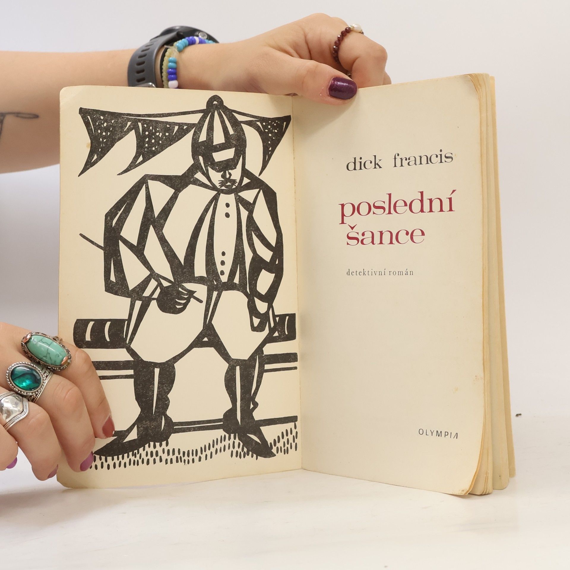 Dick Francis Poslední šance