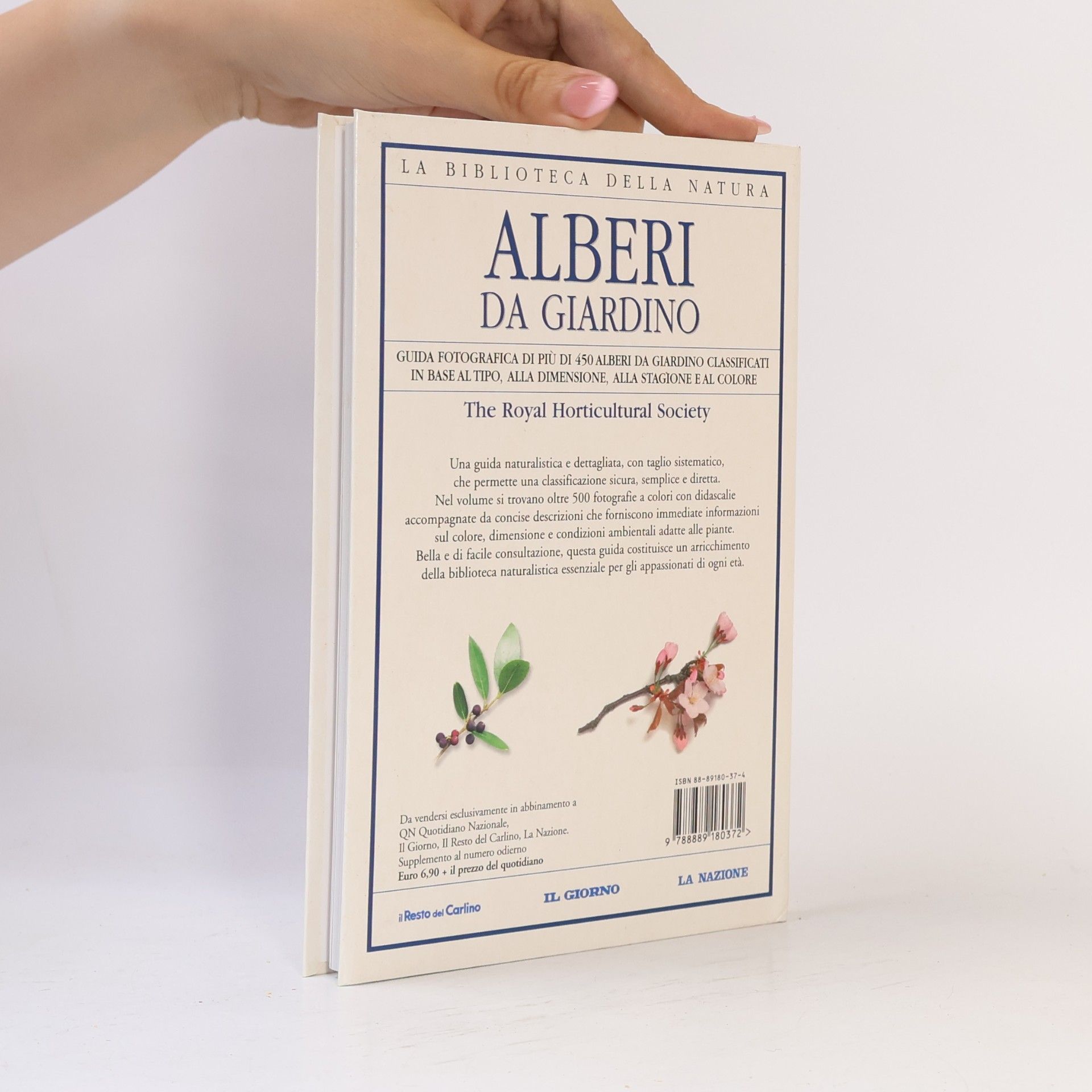 Royal Horticultural Society Alberi da giardino