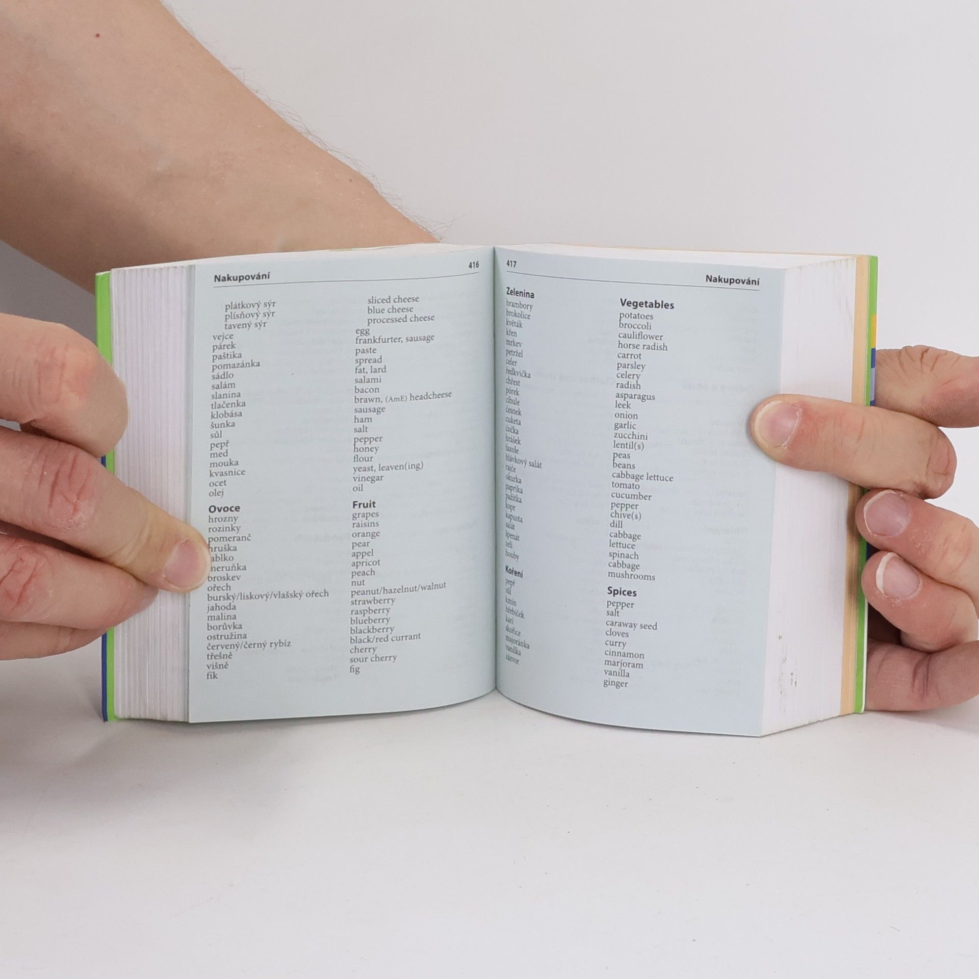 Autorenkollektiv Anglicko-český. Česko-anglický kapesní slovník