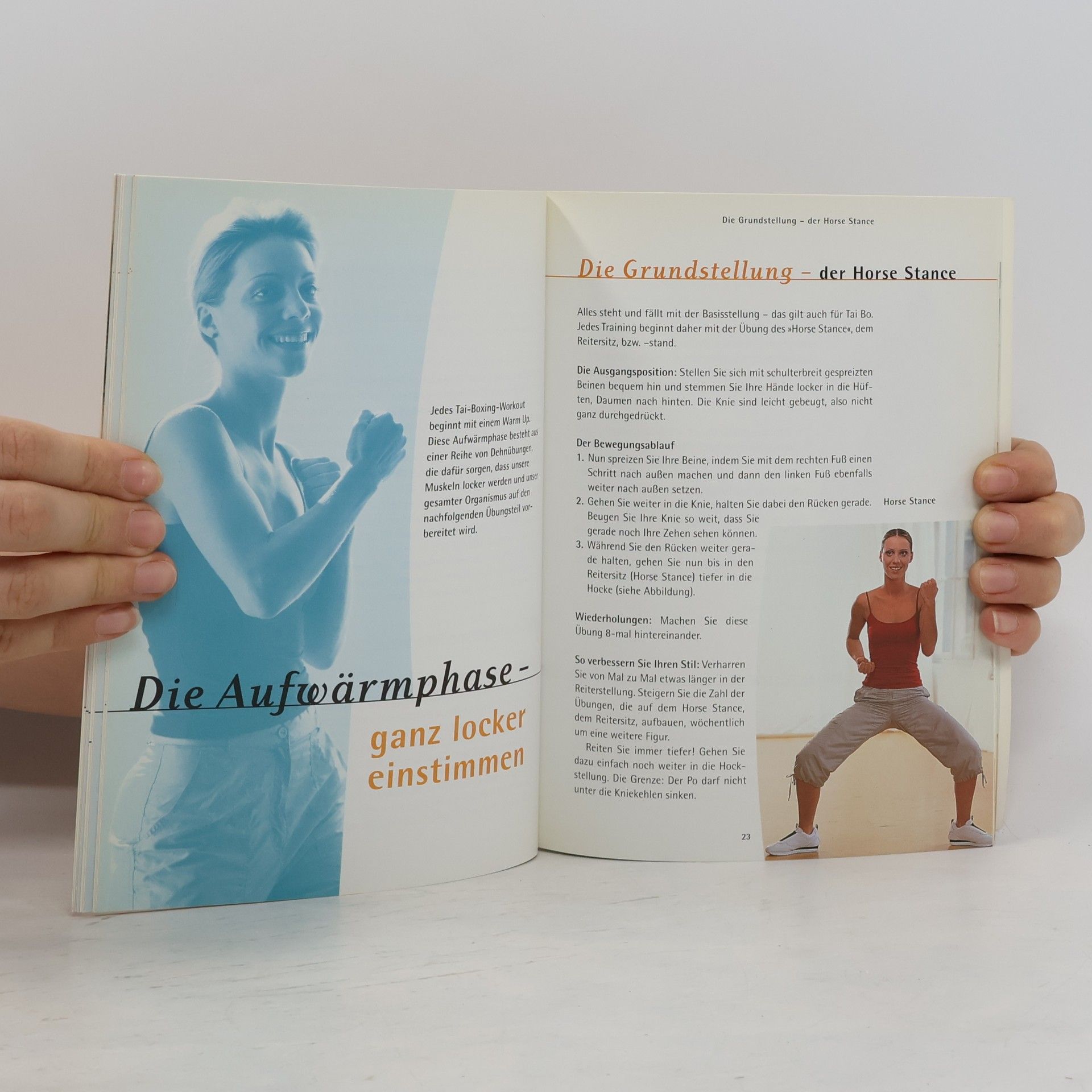Collectif d'auteurs Tai Bo Workout
