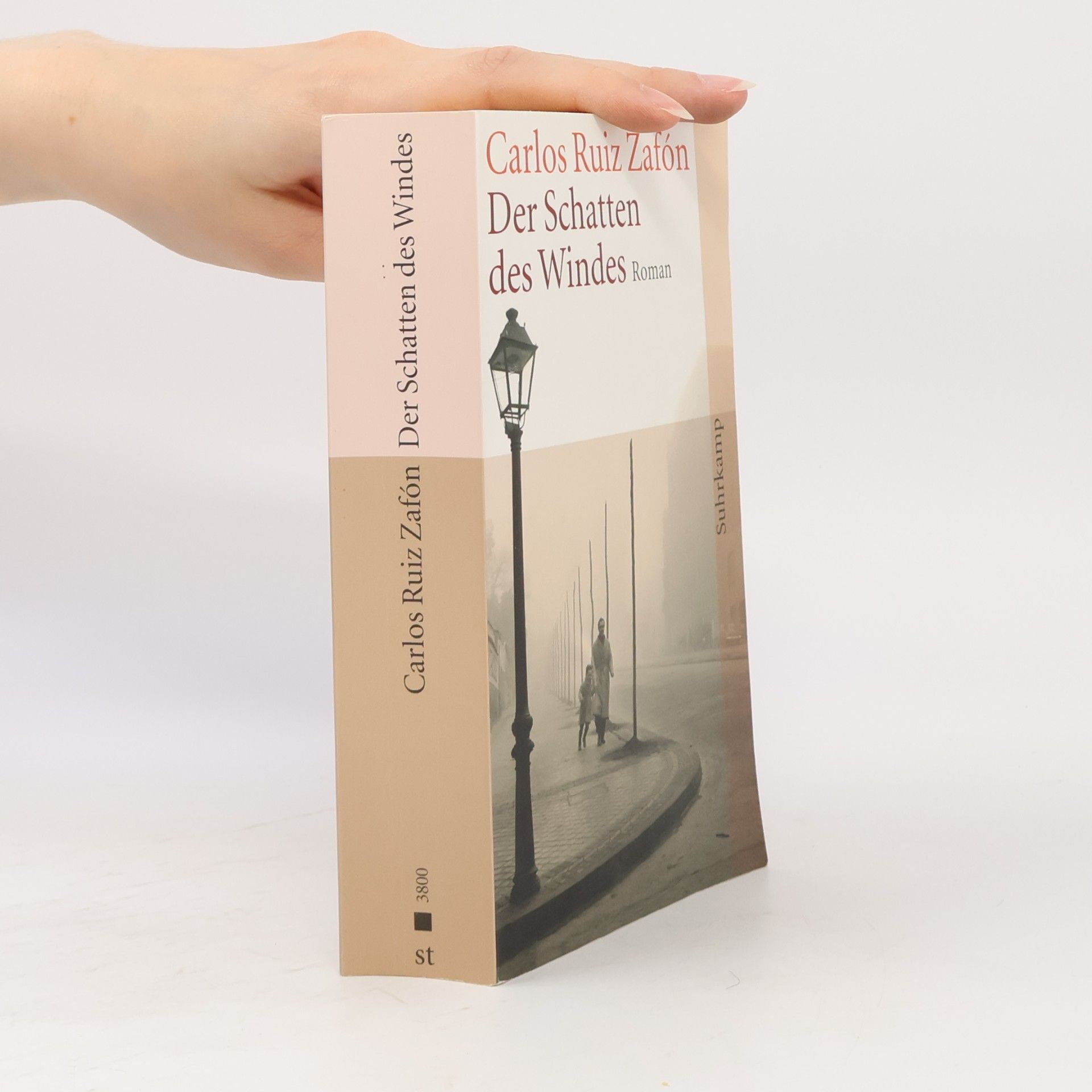 Carlos Ruiz Zafón Der Schatten des Windes