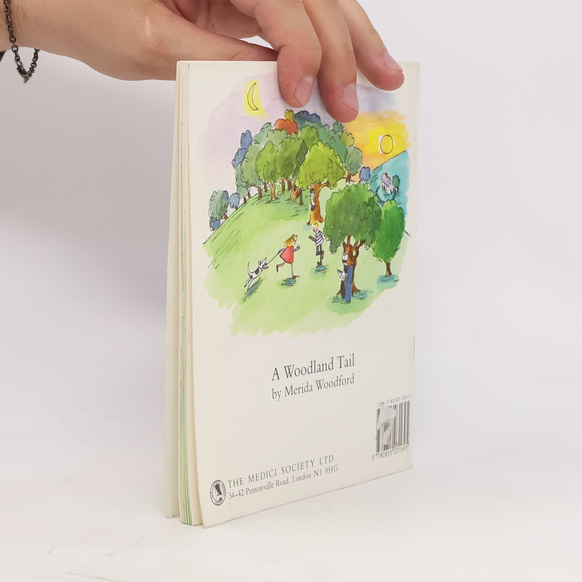 Merida Woodford A Woodland Tail