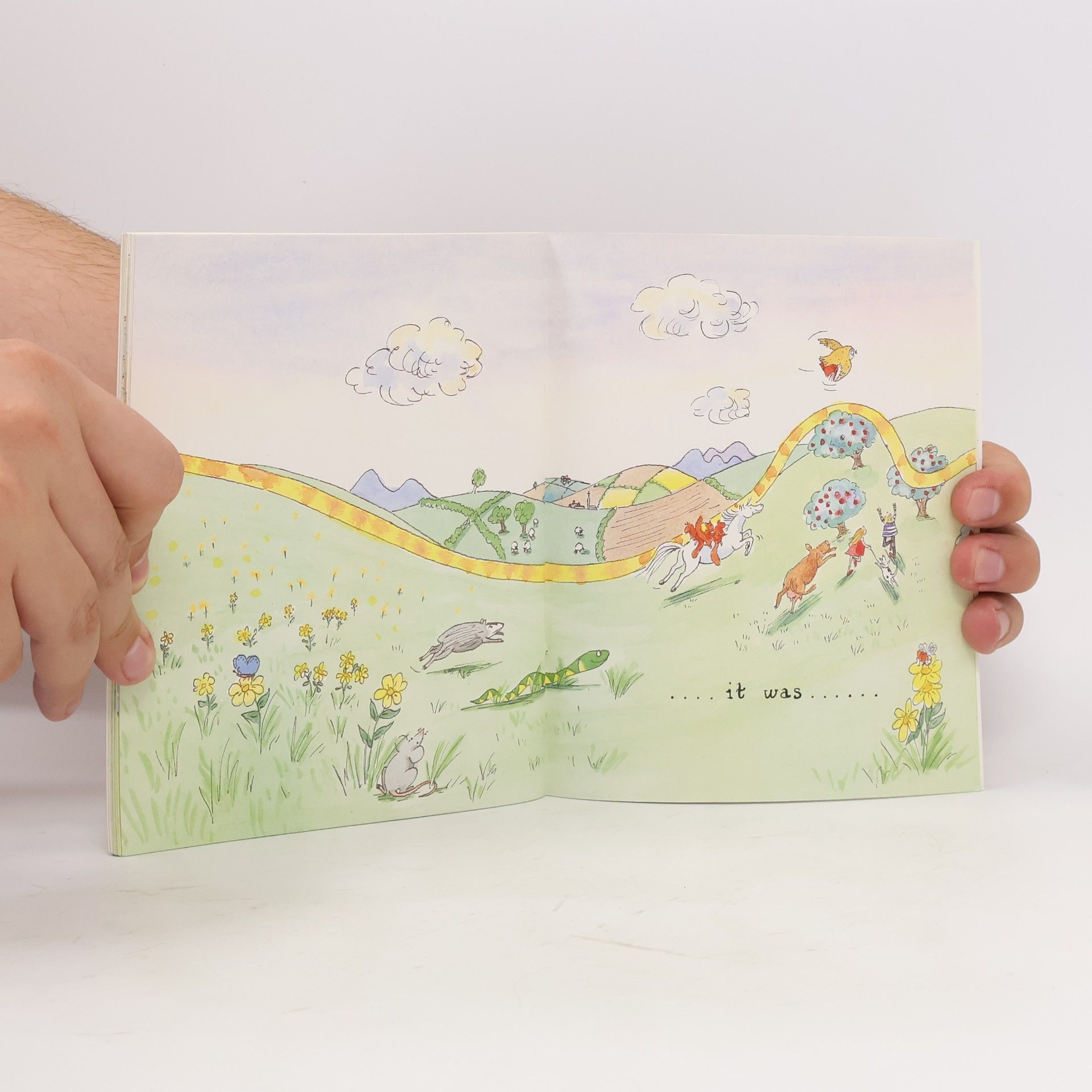 Merida Woodford A Woodland Tail