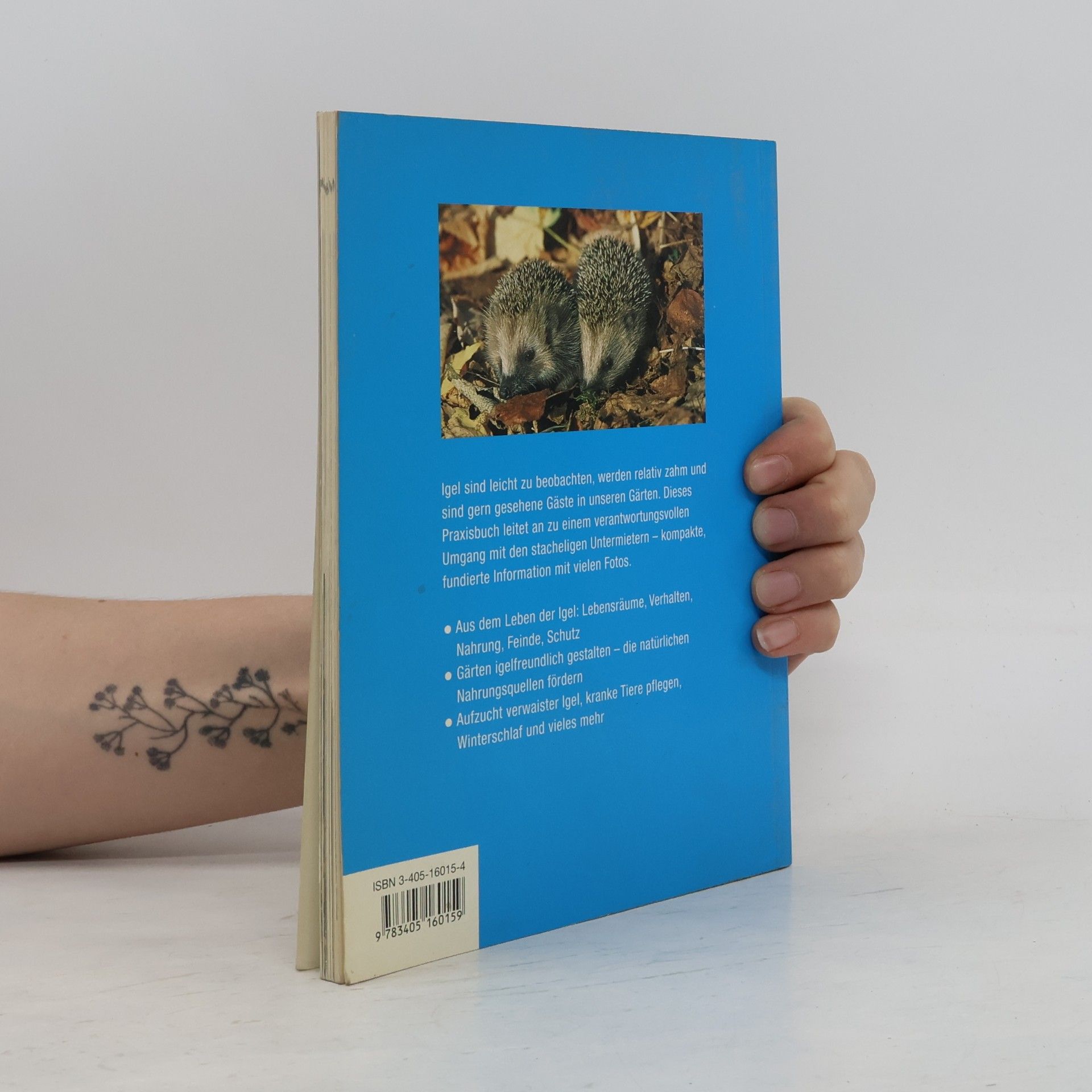 Michael Lohmann Das praktische Igelbuch