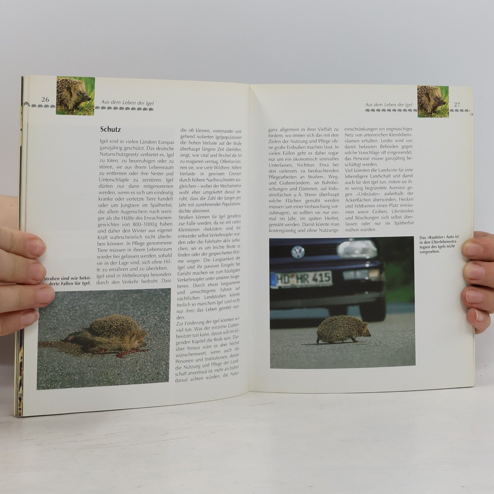 Michael Lohmann Das praktische Igelbuch