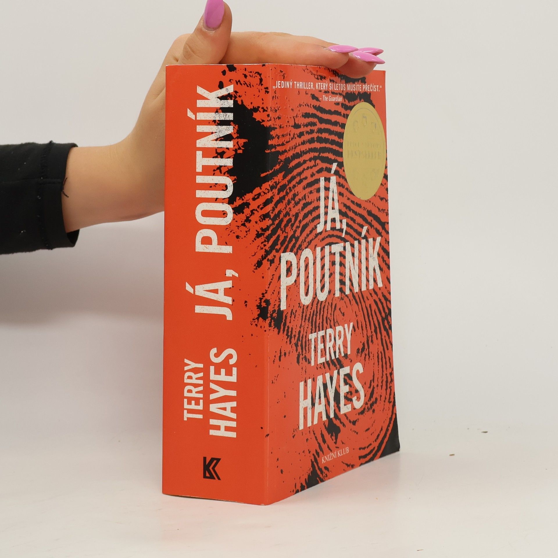 Terry Hayes Já, Poutník