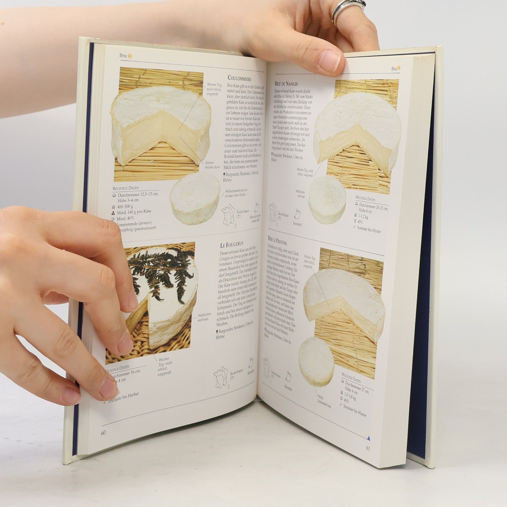 Kazuko Masui Französischer Käse