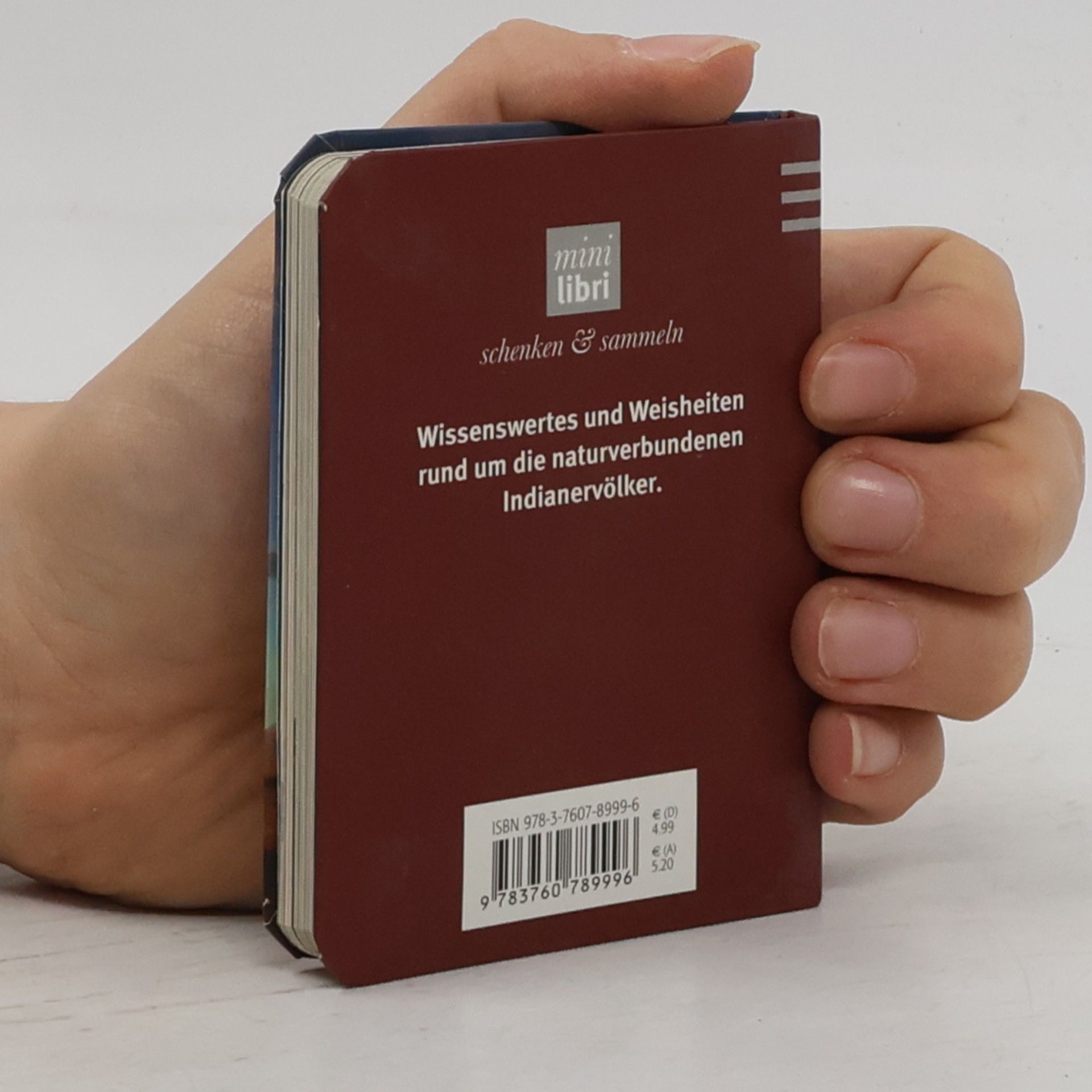 Minilibri: Indianische Weisheiten