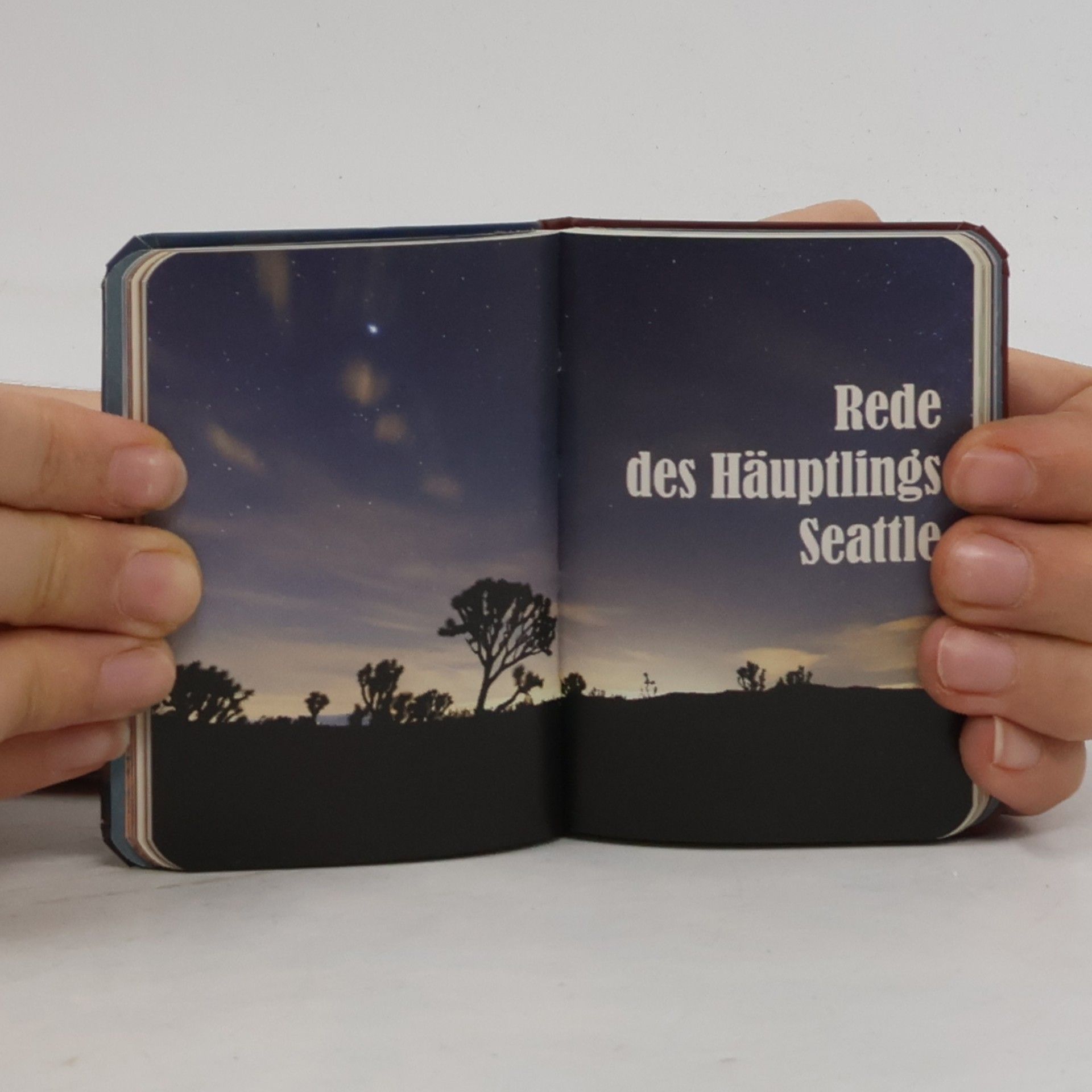 Minilibri: Indianische Weisheiten