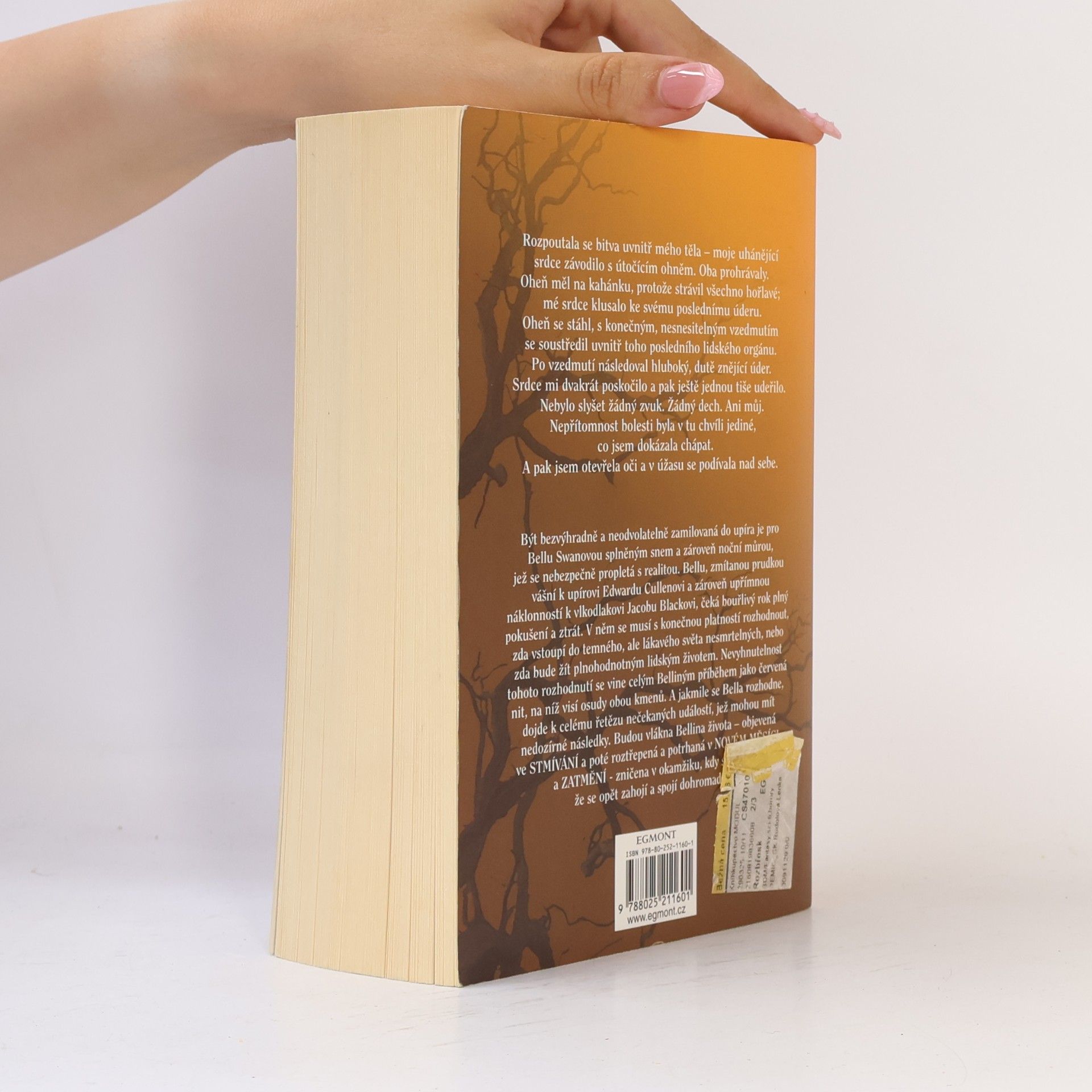 Stephenie Meyer Rozbřesk
