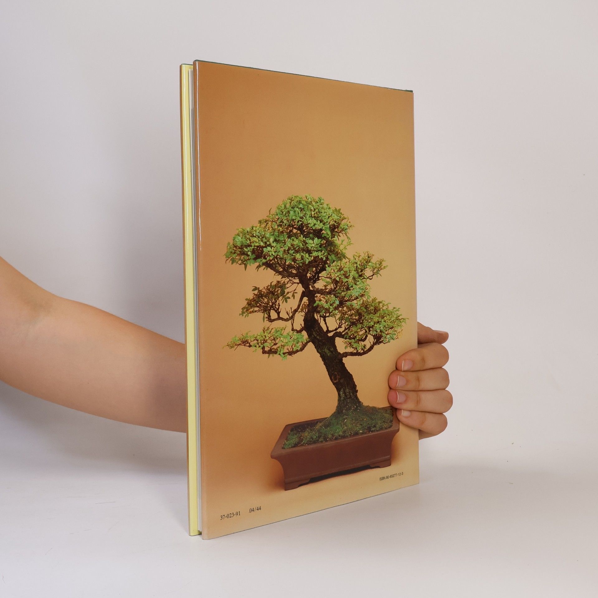 Jan Tykač Bonsai